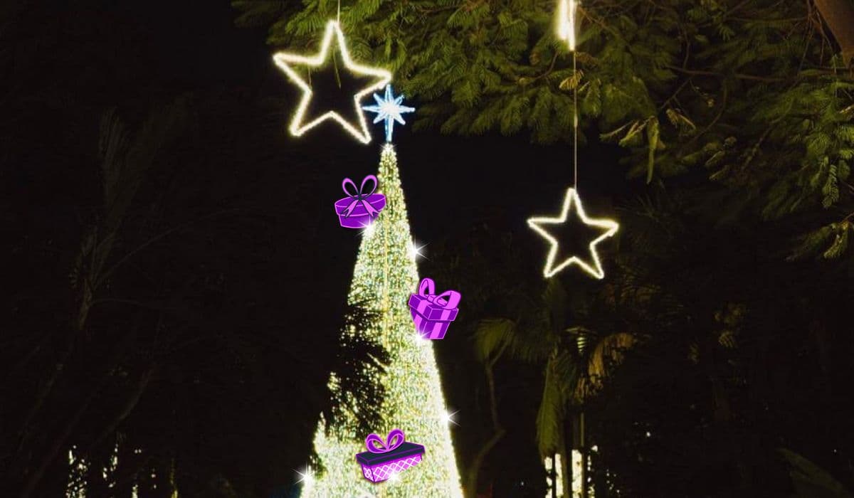 Recorrido navideño: Del bazar al Encendido del árbol 