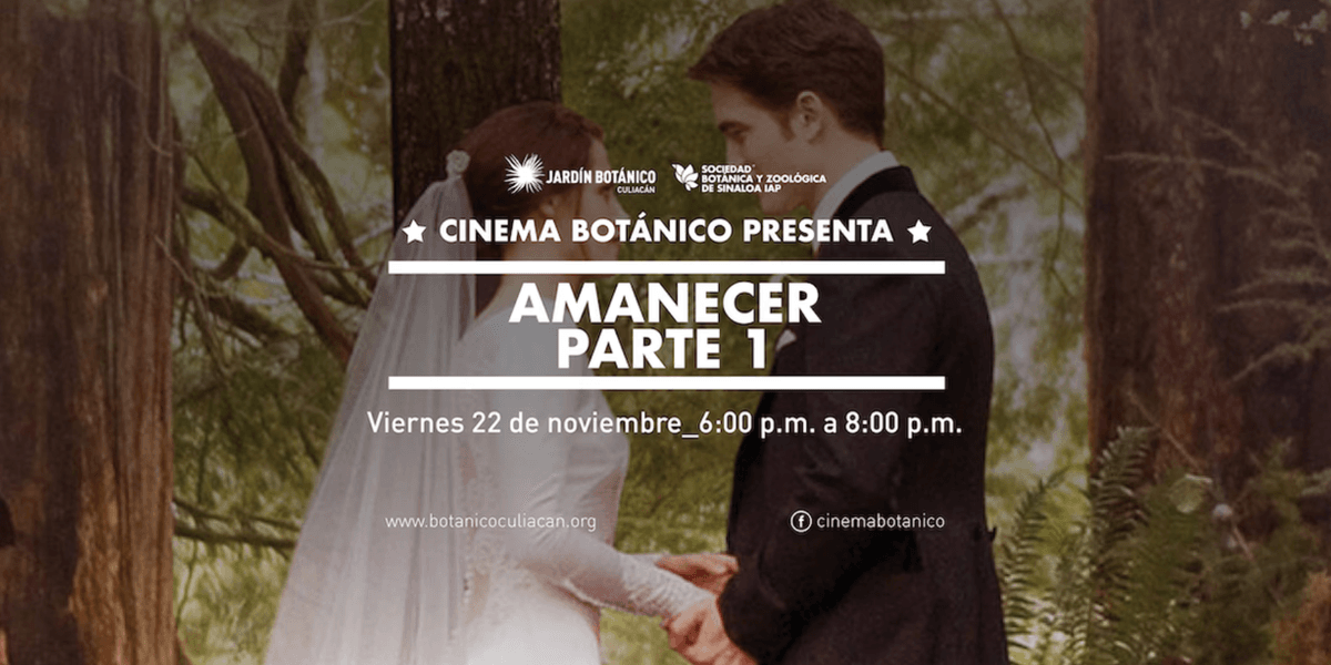 CINE AL AIRE LIBRE: AMANECER PARTE 1