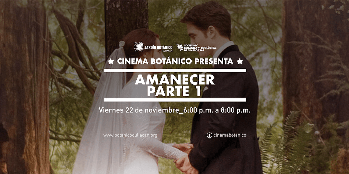 Imagen de portada para el evento: CINE AL AIRE LIBRE: AMANECER PARTE 1