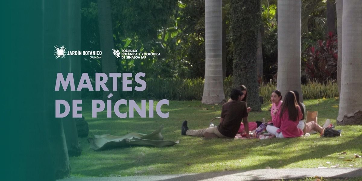 Imagen de portada para el evento: MARTES DE PICNIC