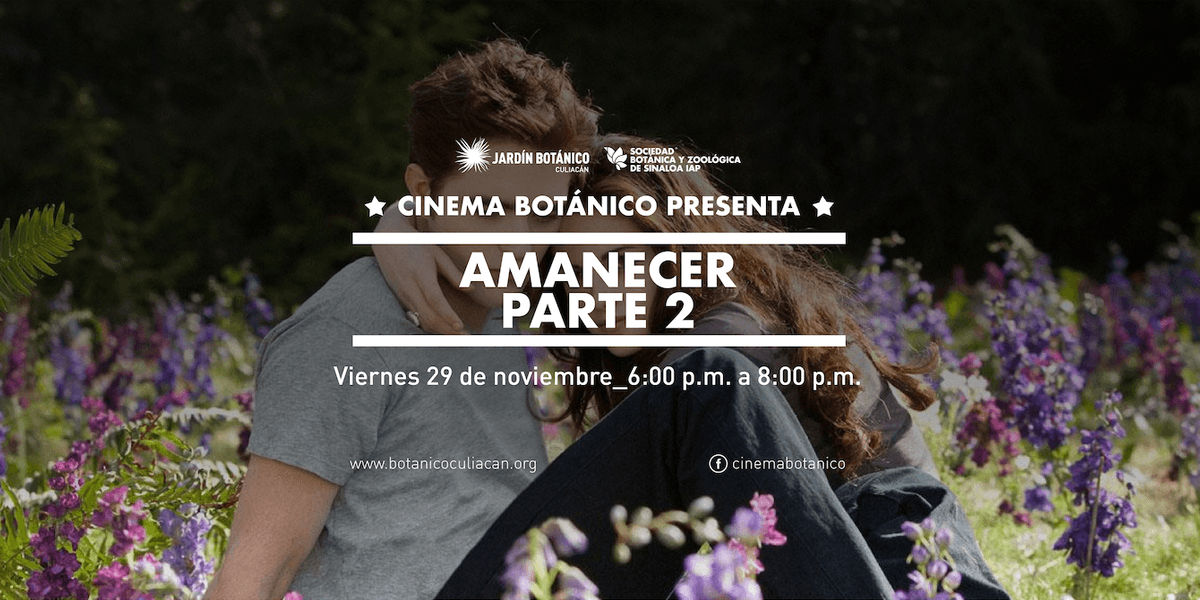 Imagen de portada para el evento: CINE AL AIRE LIBRE: AMANECER PARTE 2