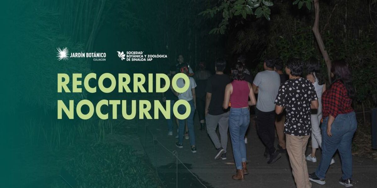 Imagen de portada para el evento:  Recorridos nocturnos guiados en el Jardín Botánico