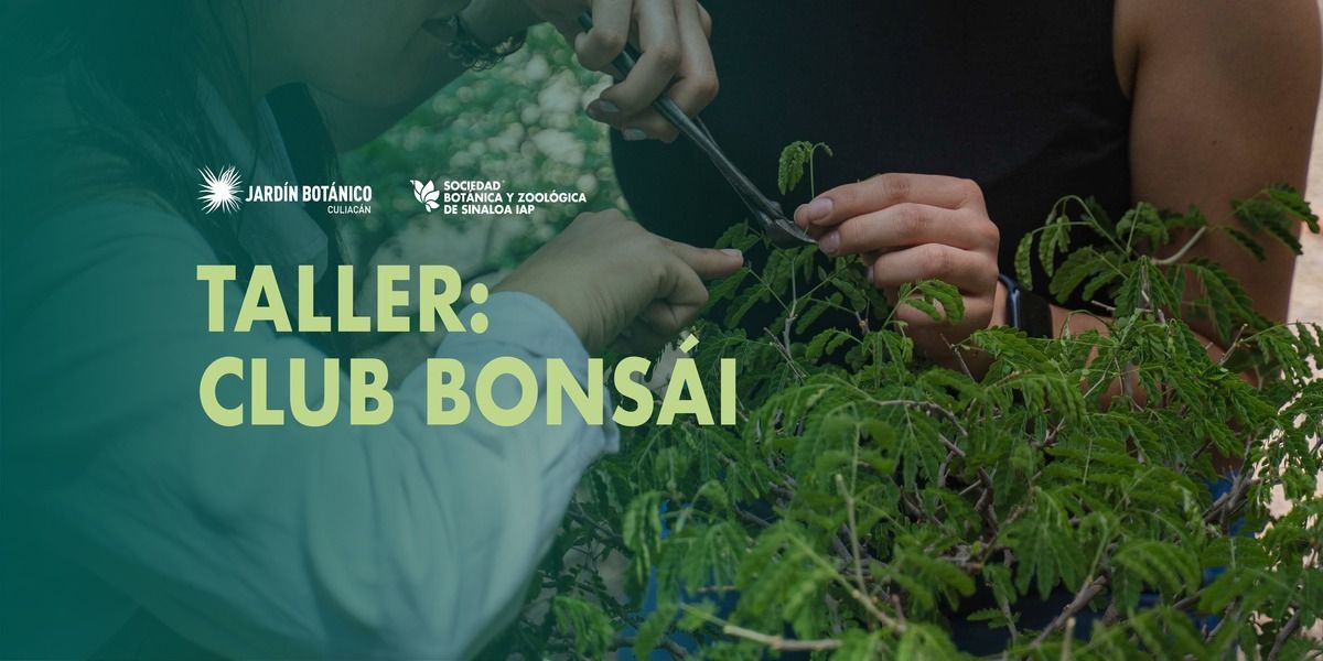 Imagen de portada para el evento: TALLER: CLUB BONSAI