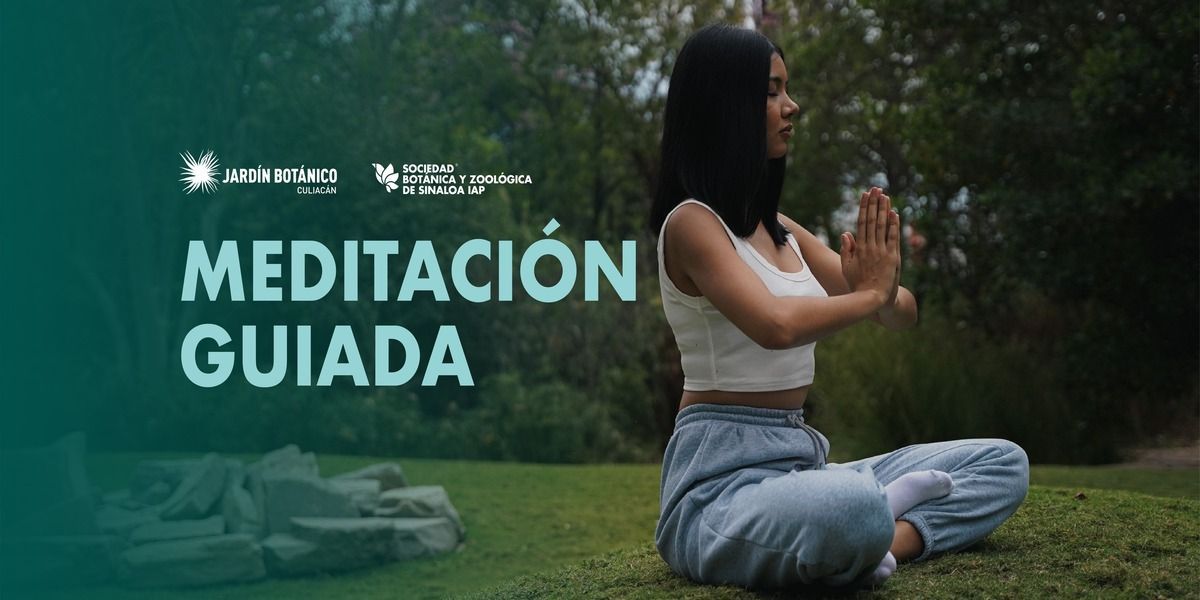 Imagen de portada para el evento: MEDIACION GUIADA