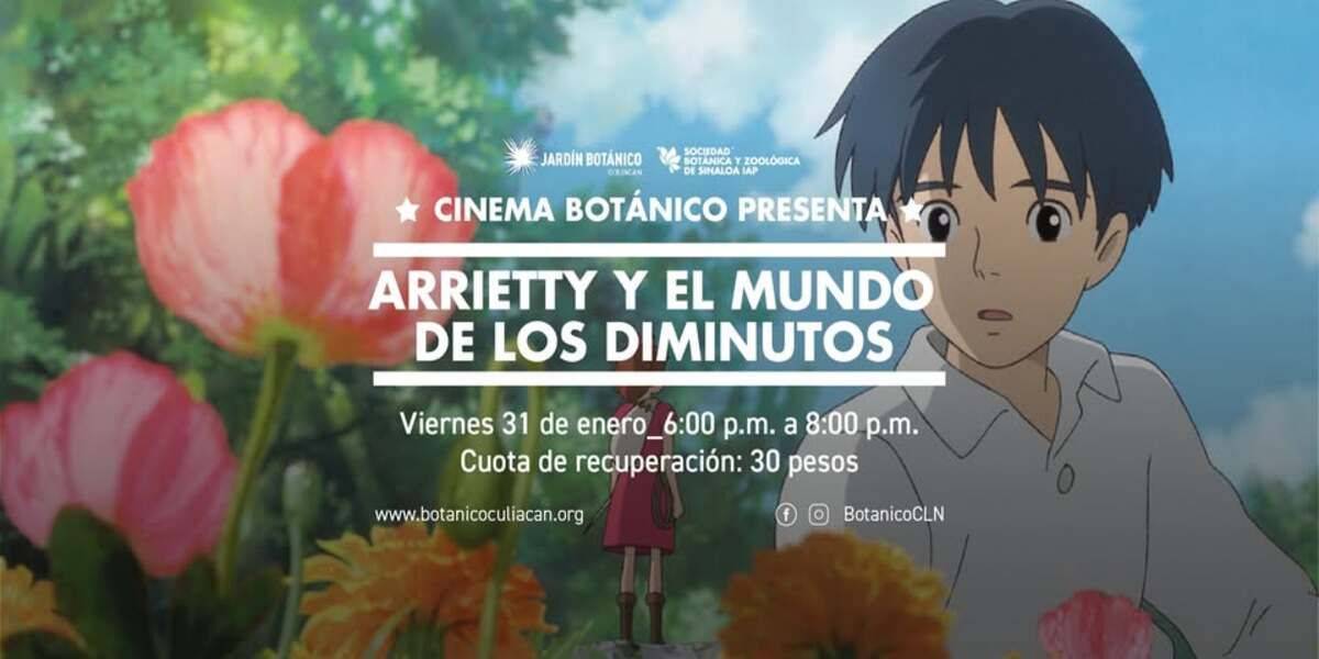 Imagen de portada para el evento: Cine al aire libre: Arrietty y el mundo de los diminutos