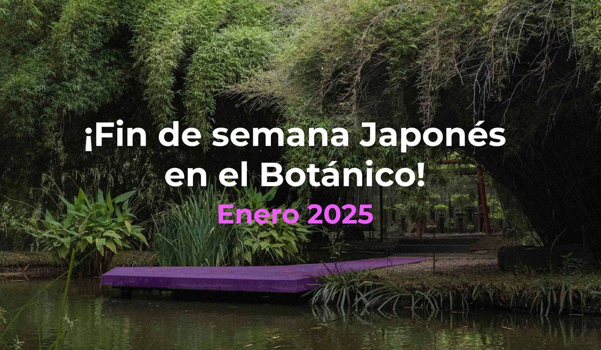 Imagen de portada de ¡Fin de Semana Japonés en el Botánico!