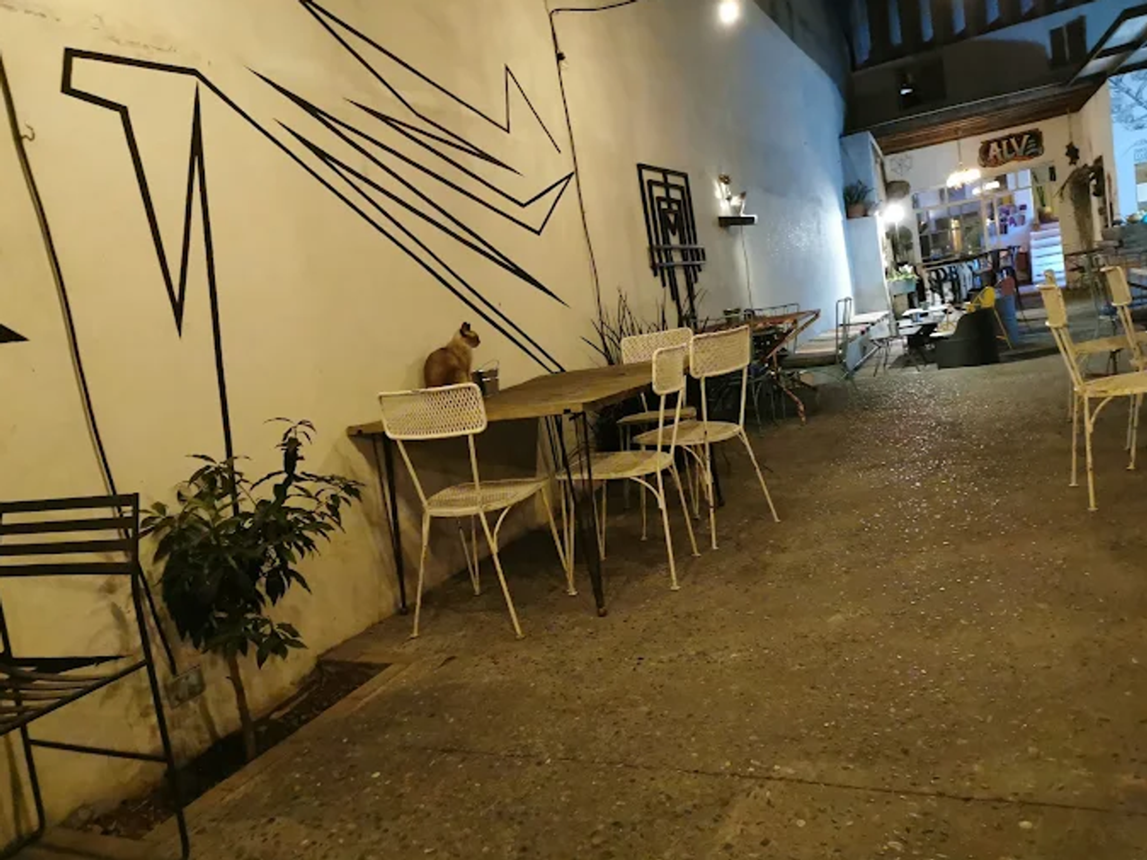 Foto de portada del evento