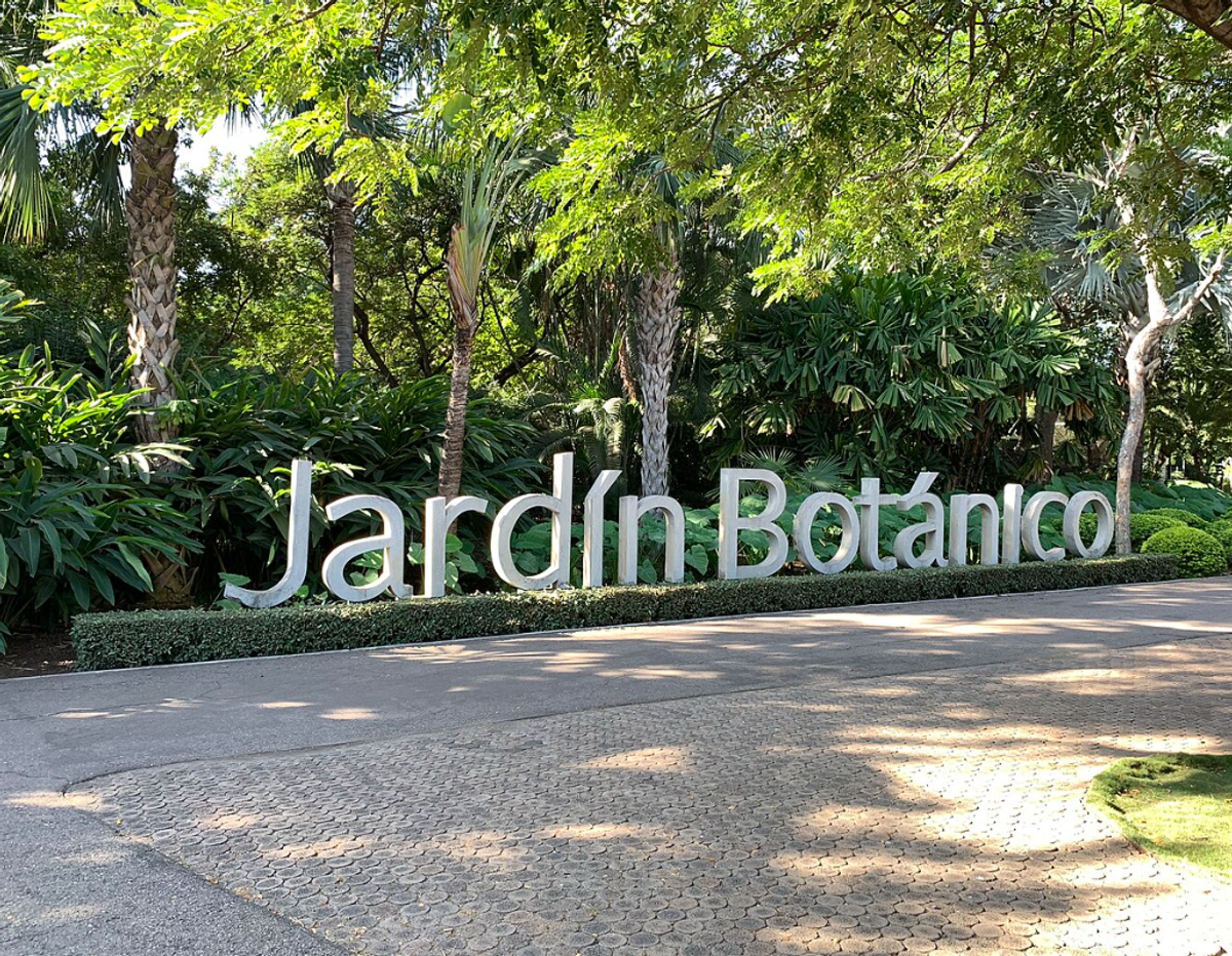 Foto de portada del evento