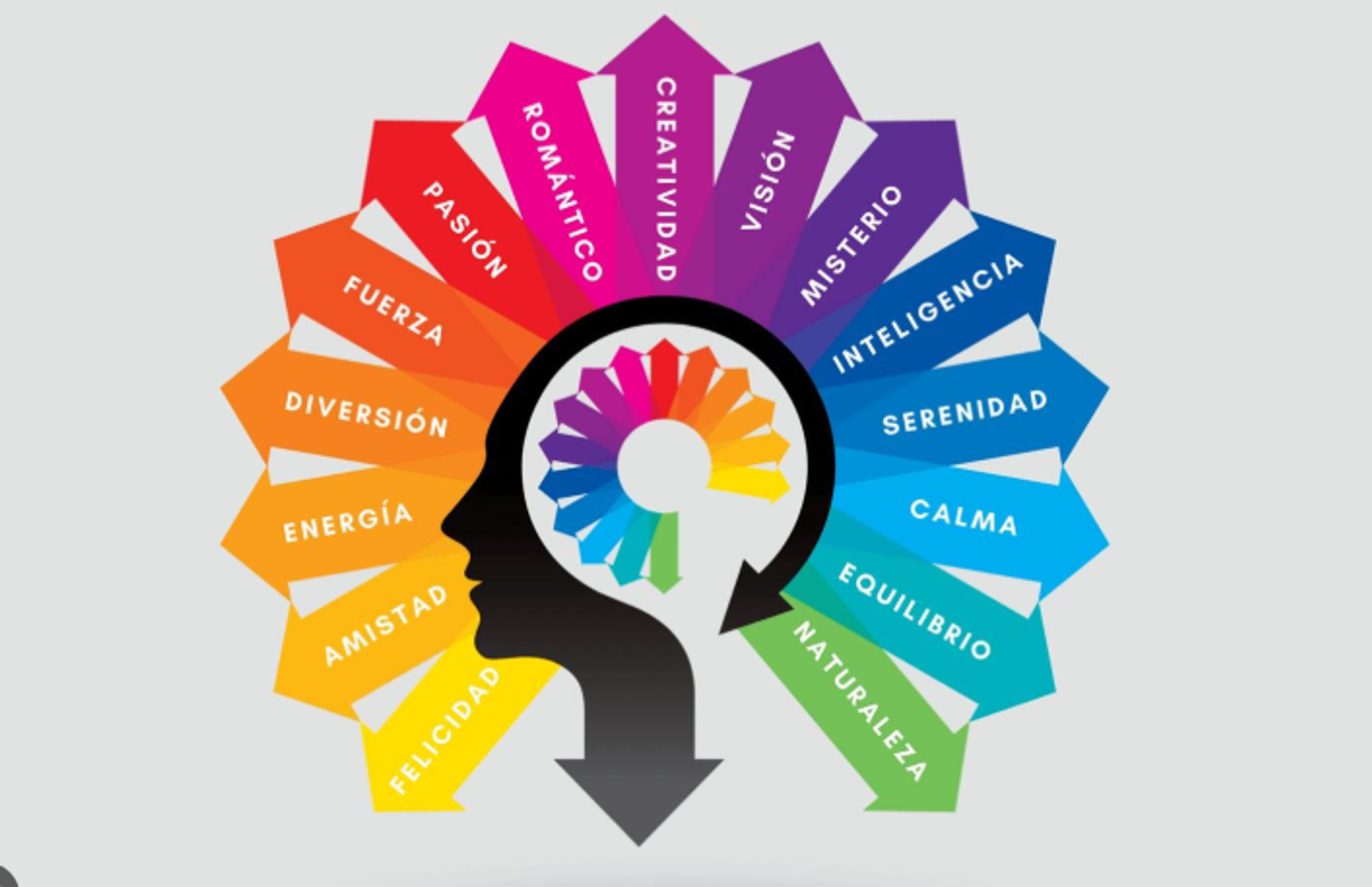 El Poder del Color: cómo proyectar éxito y empleabilidad