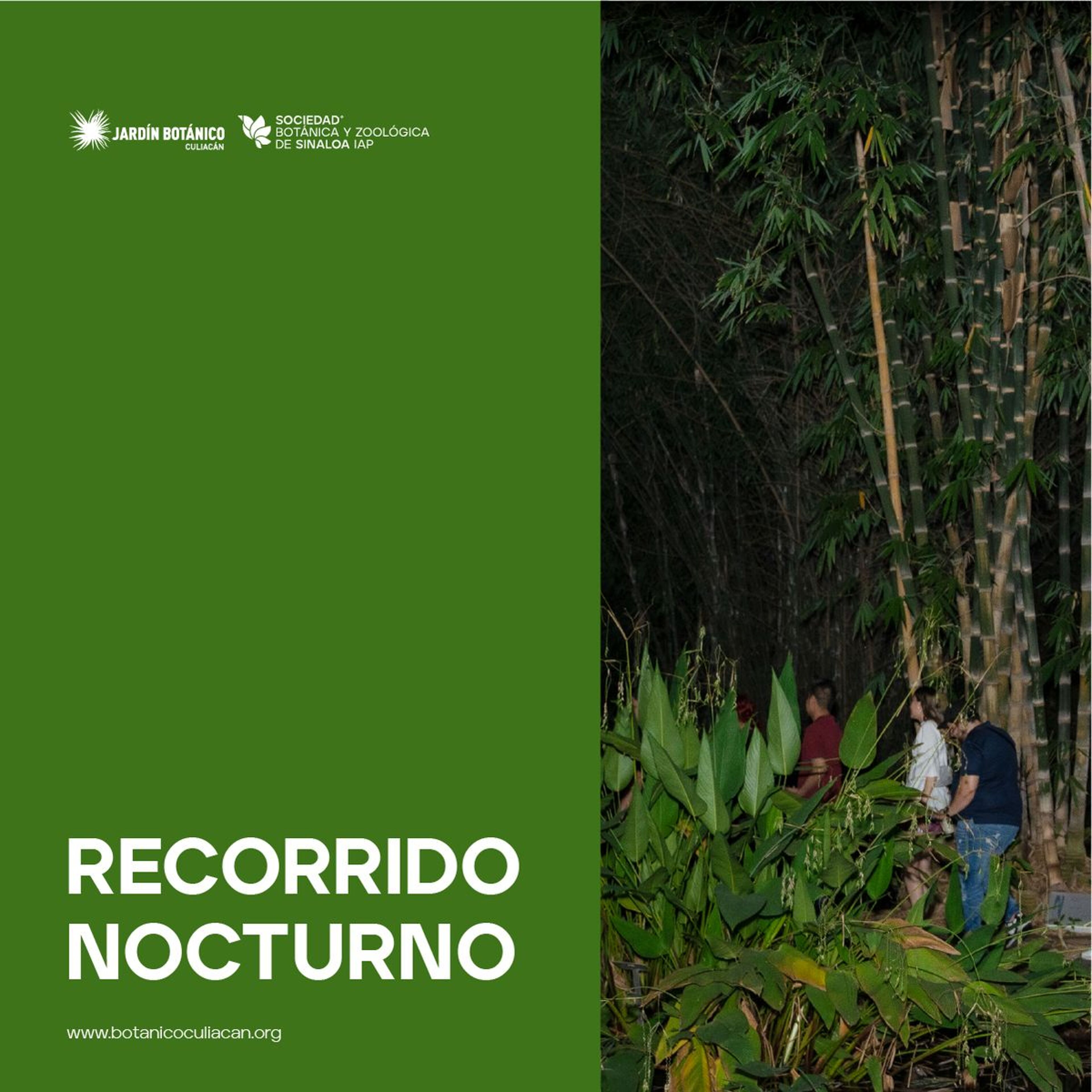 Imagen de portada para el evento: Recorrido nocturno
