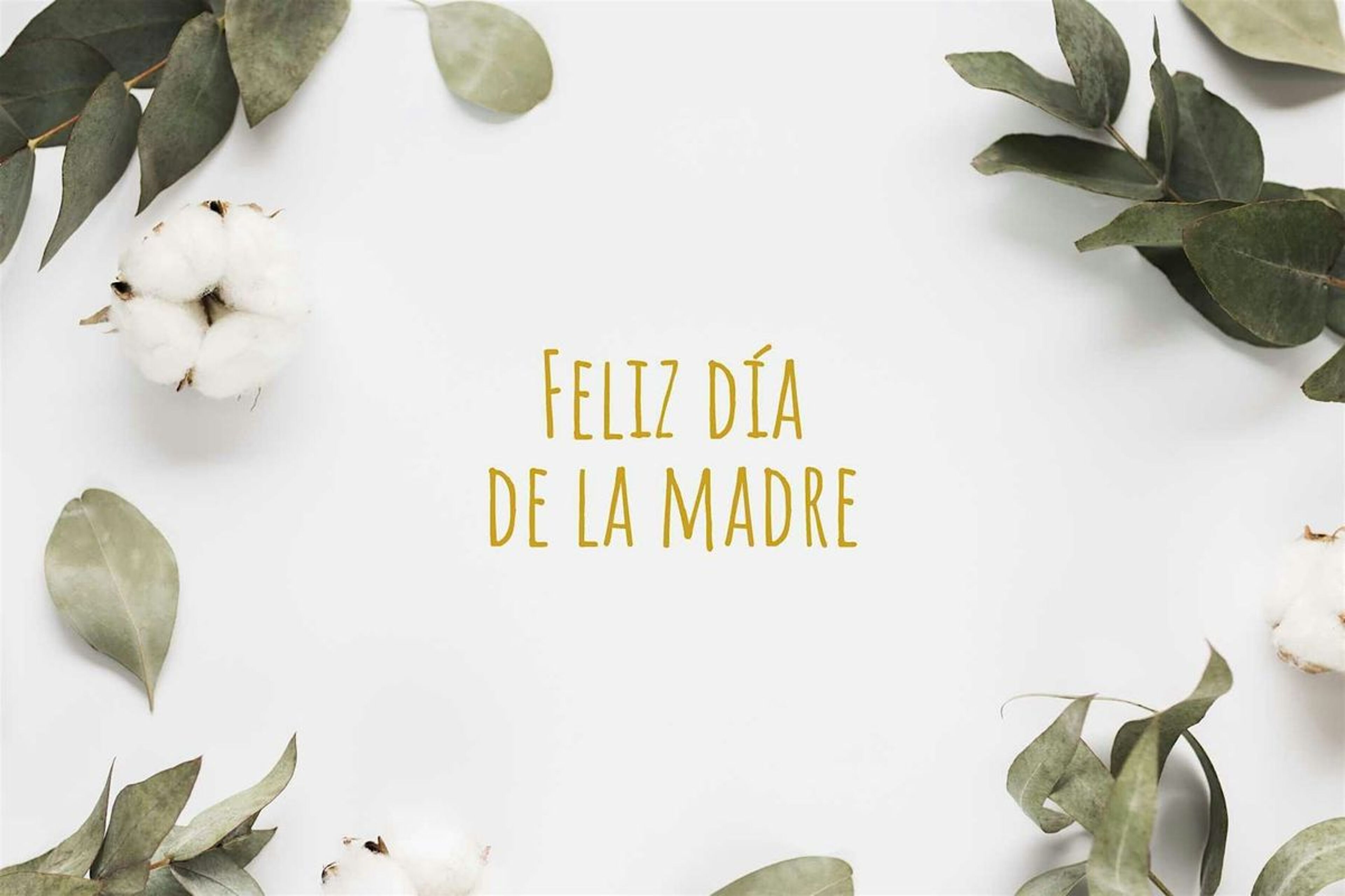 Imagen de portada para el evento: Presentación Día de las Madres