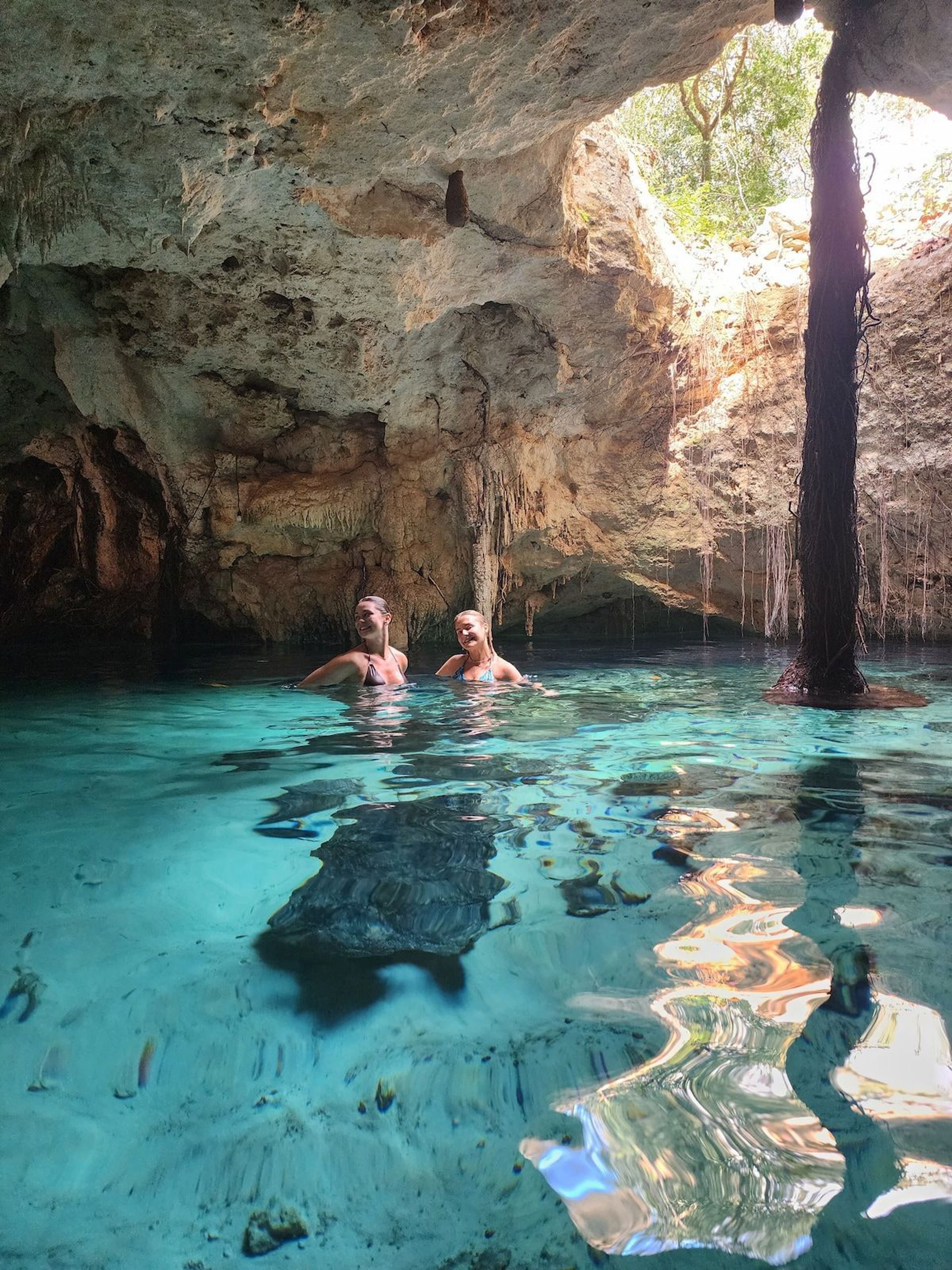 Imagen de portada para el evento: Experiencia privada en cenote para grupos