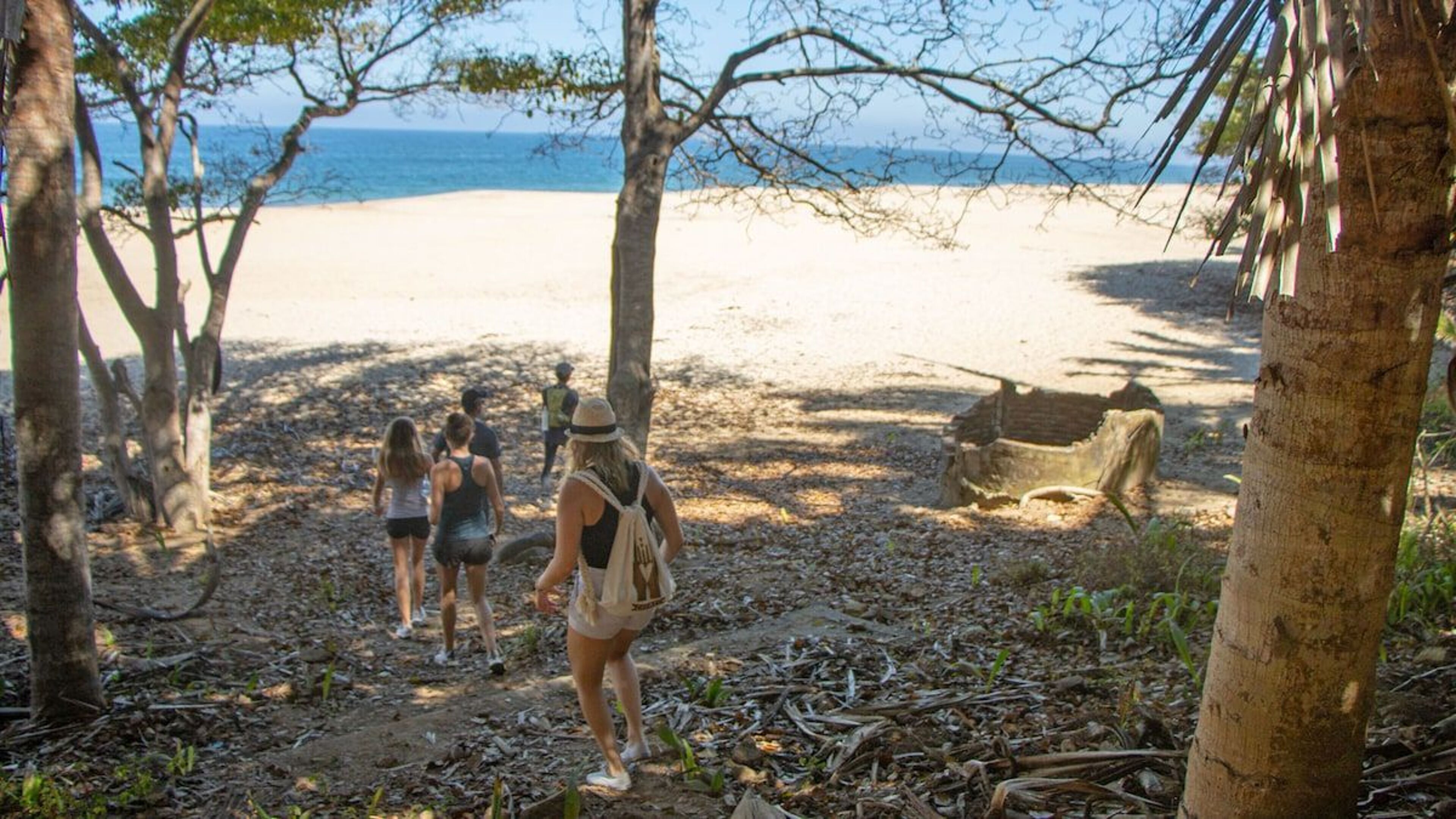 Imagen de portada para el evento: De San Pancho a Sayulita: caminata panorámica por la selva