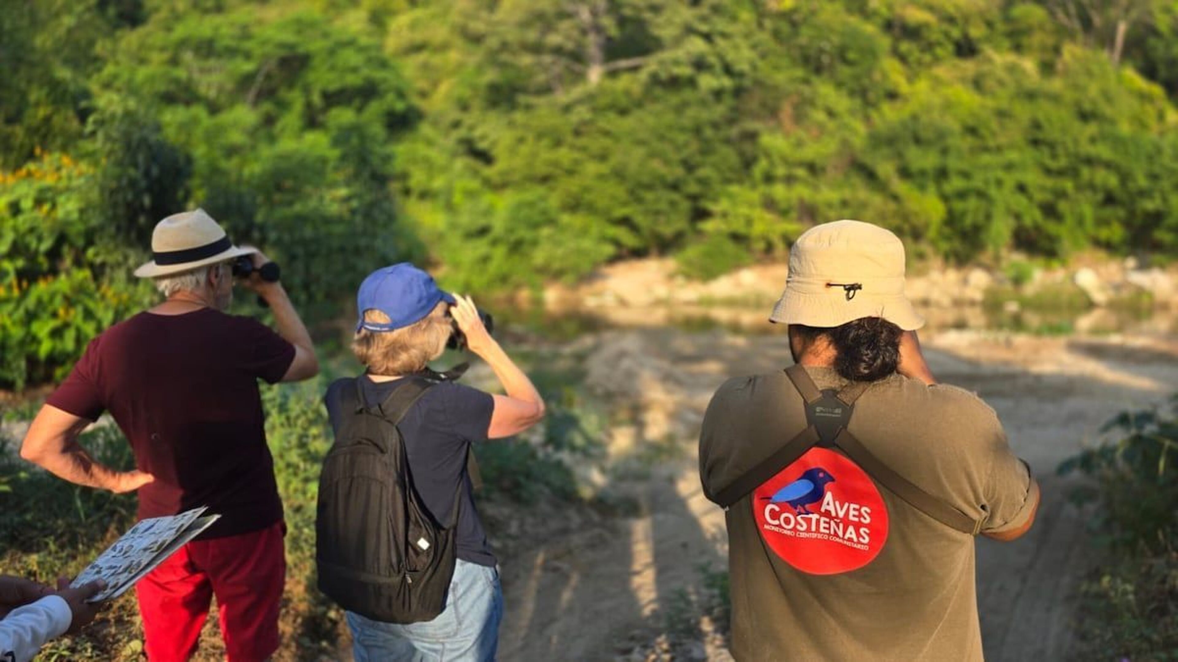 Imagen de portada para el evento: Birdwatching San José Manialtepec