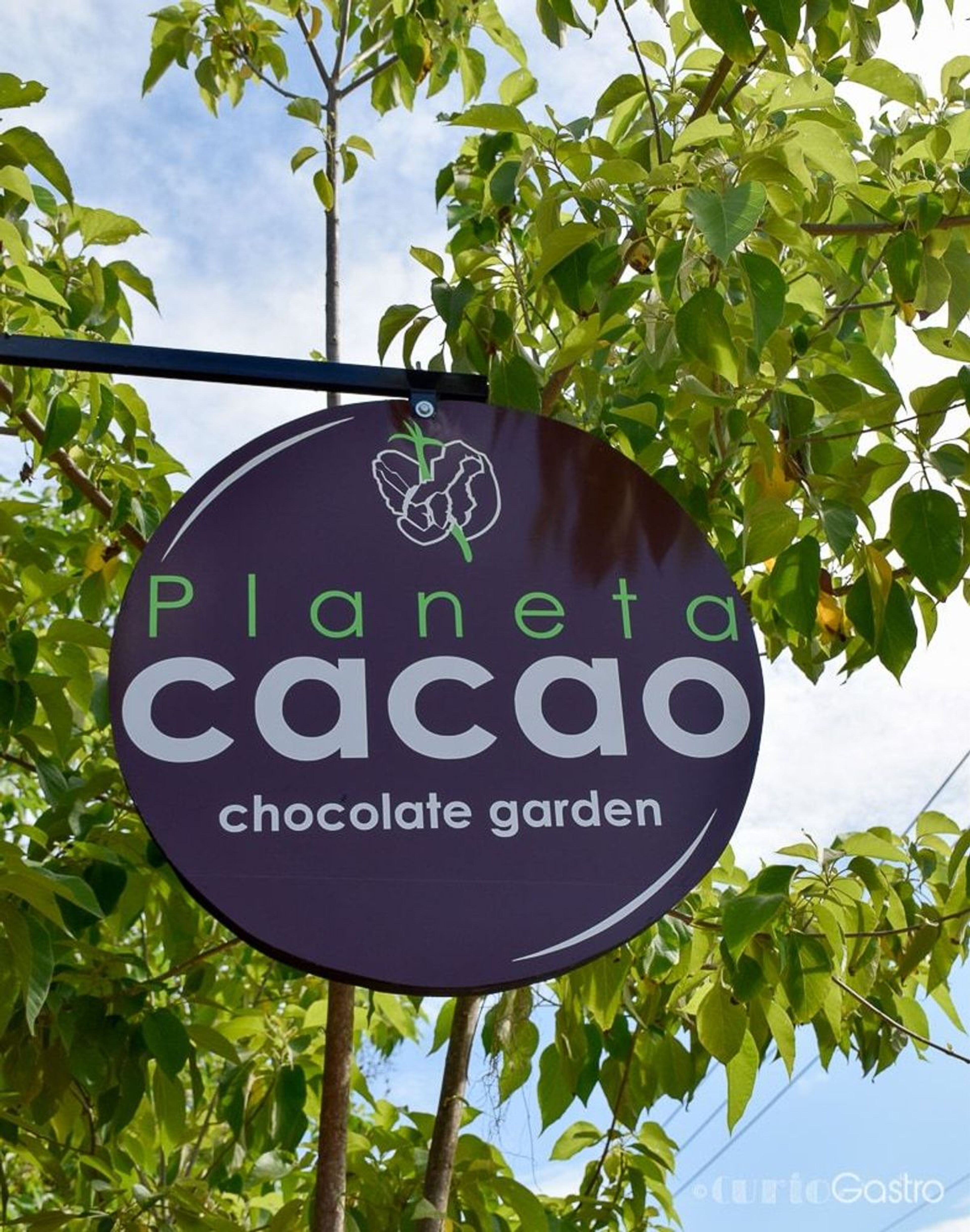 Imagen de portada para el evento: Haz tu propio chocolate artesanal