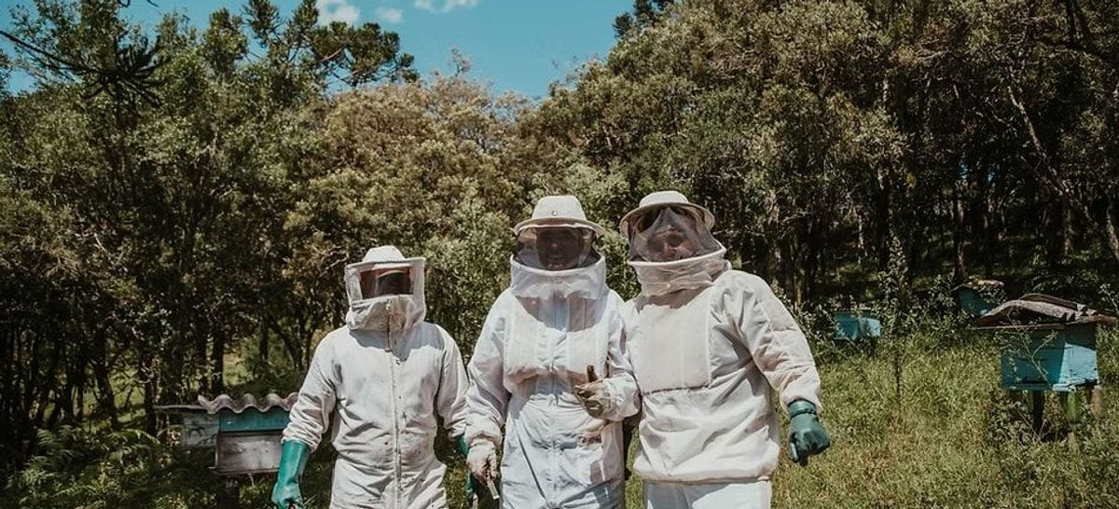 Imagen de portada para el evento: Descubre el mundo secreto de las abejas