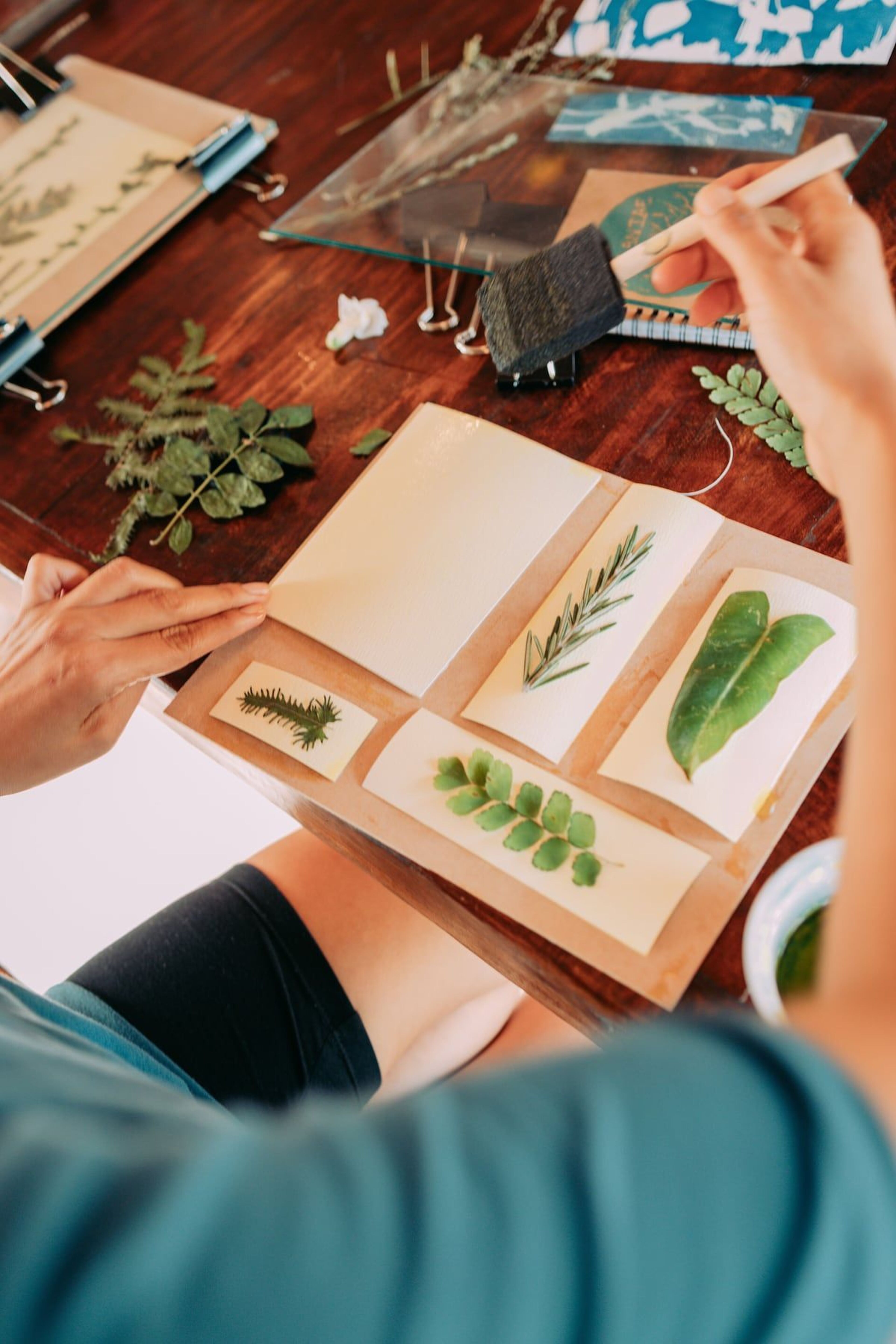 Imagen de portada para el evento: Crea planos de cianotipos con plantas locales