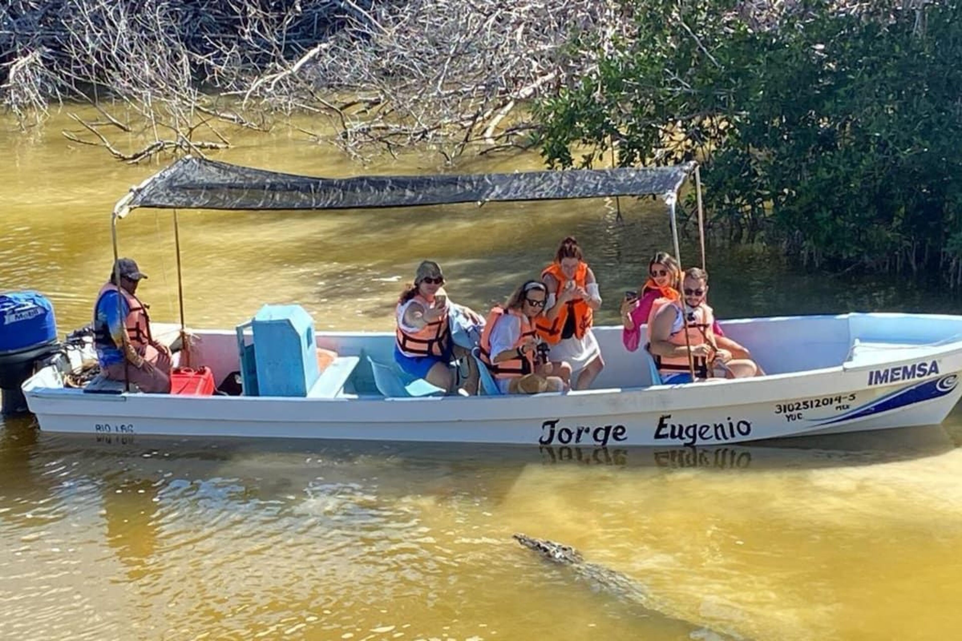 Imagen de portada para el evento: Safari privado de cocodrilos y flamencos en la naturaleza