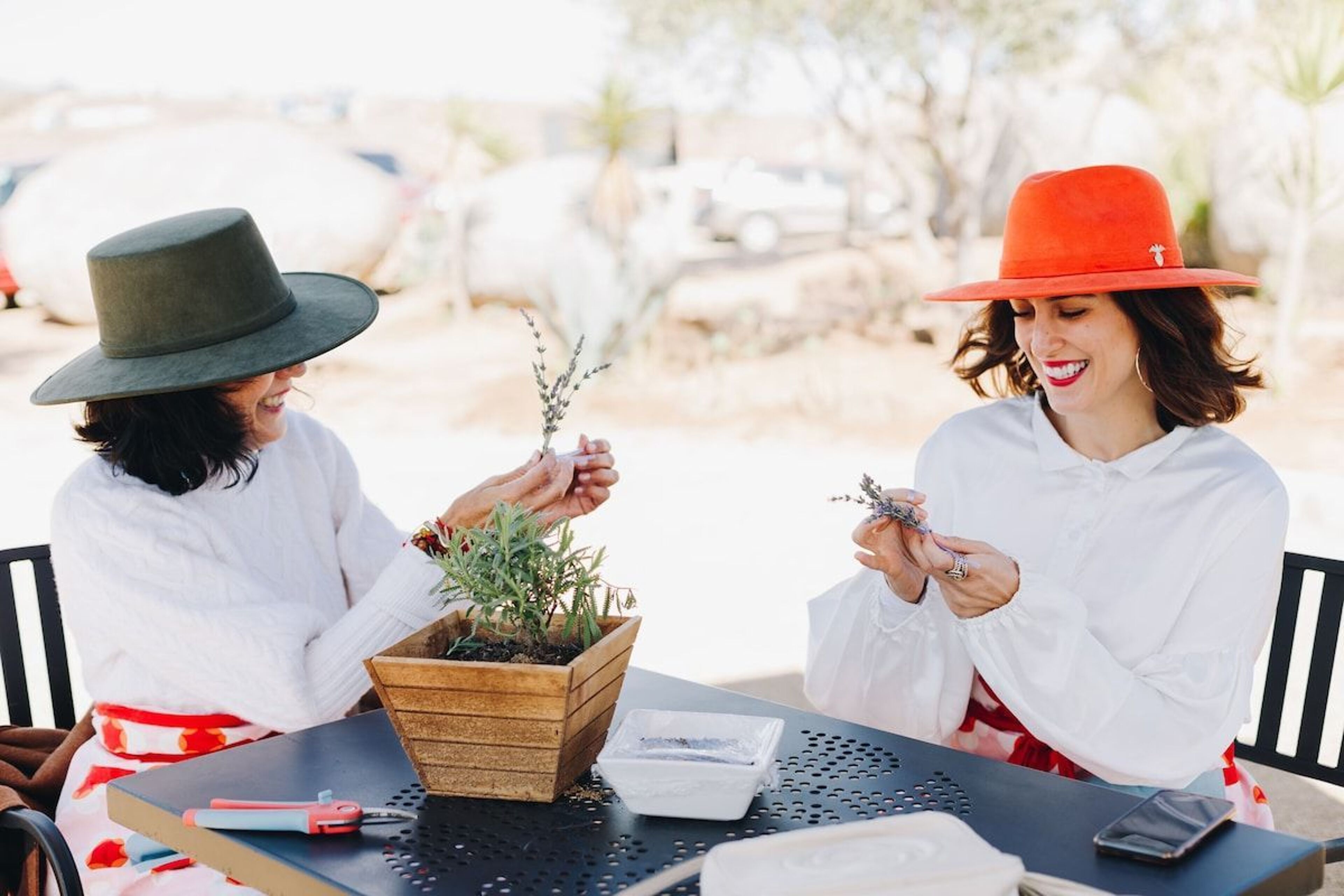 Imagen de portada para el evento: Experiencia en Lavanda: Cultivo, Usos y Aperitivos