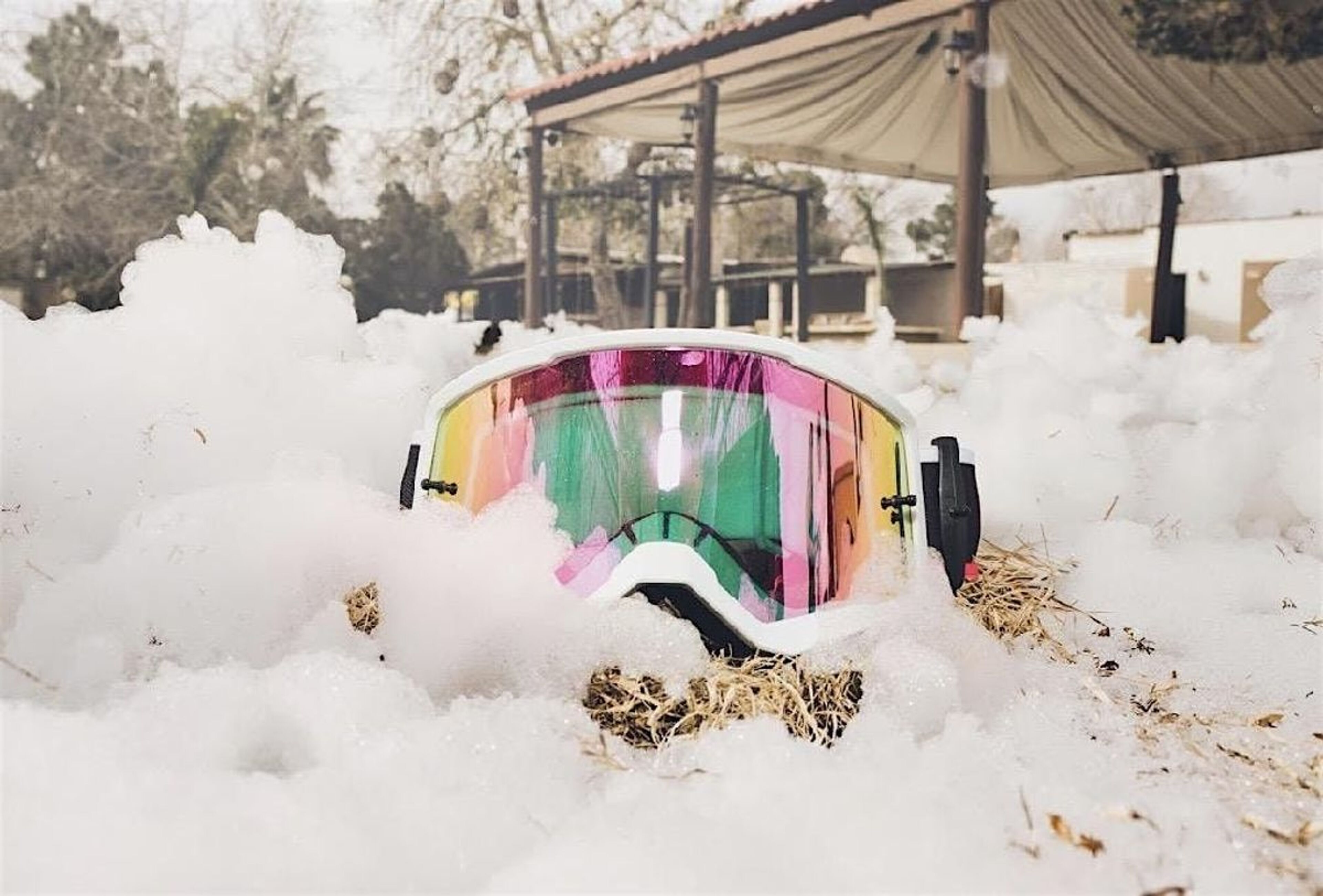 Imagen de portada para el evento: NÓRDICO