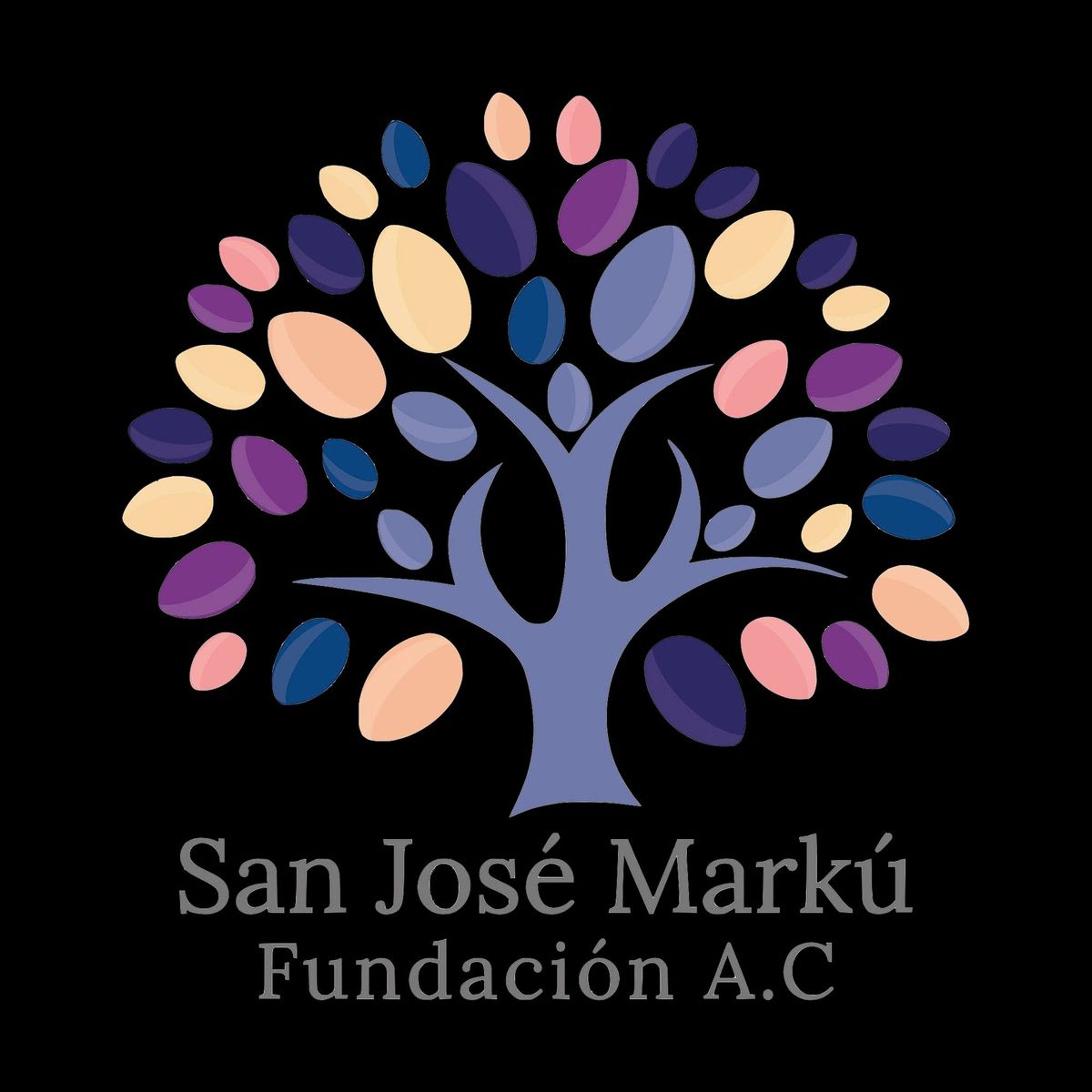 Imagen de portada para el evento: PARTIDO LA HEROICA VS TOLUCA