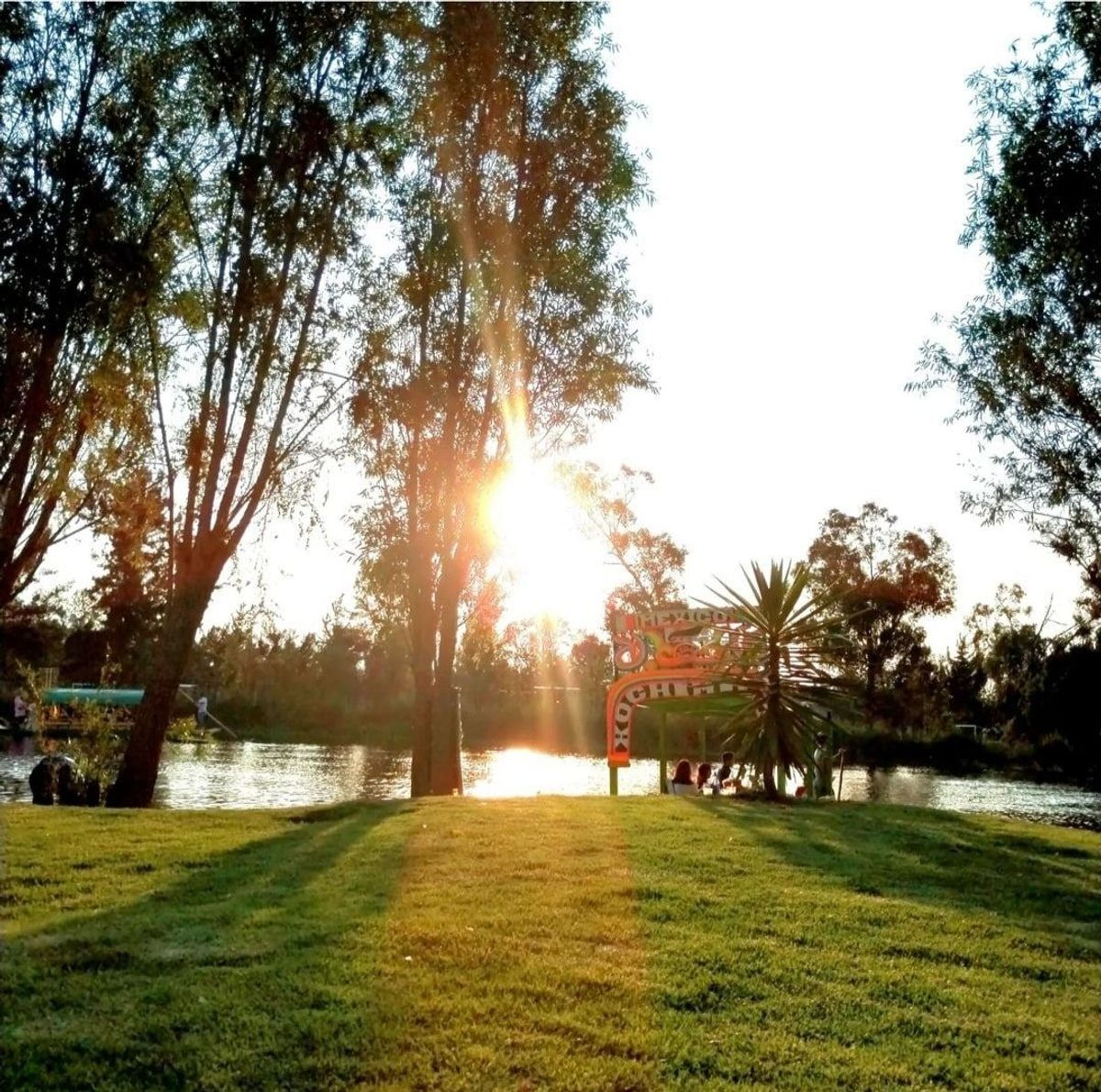 Guacamole Fest en Xochimilco