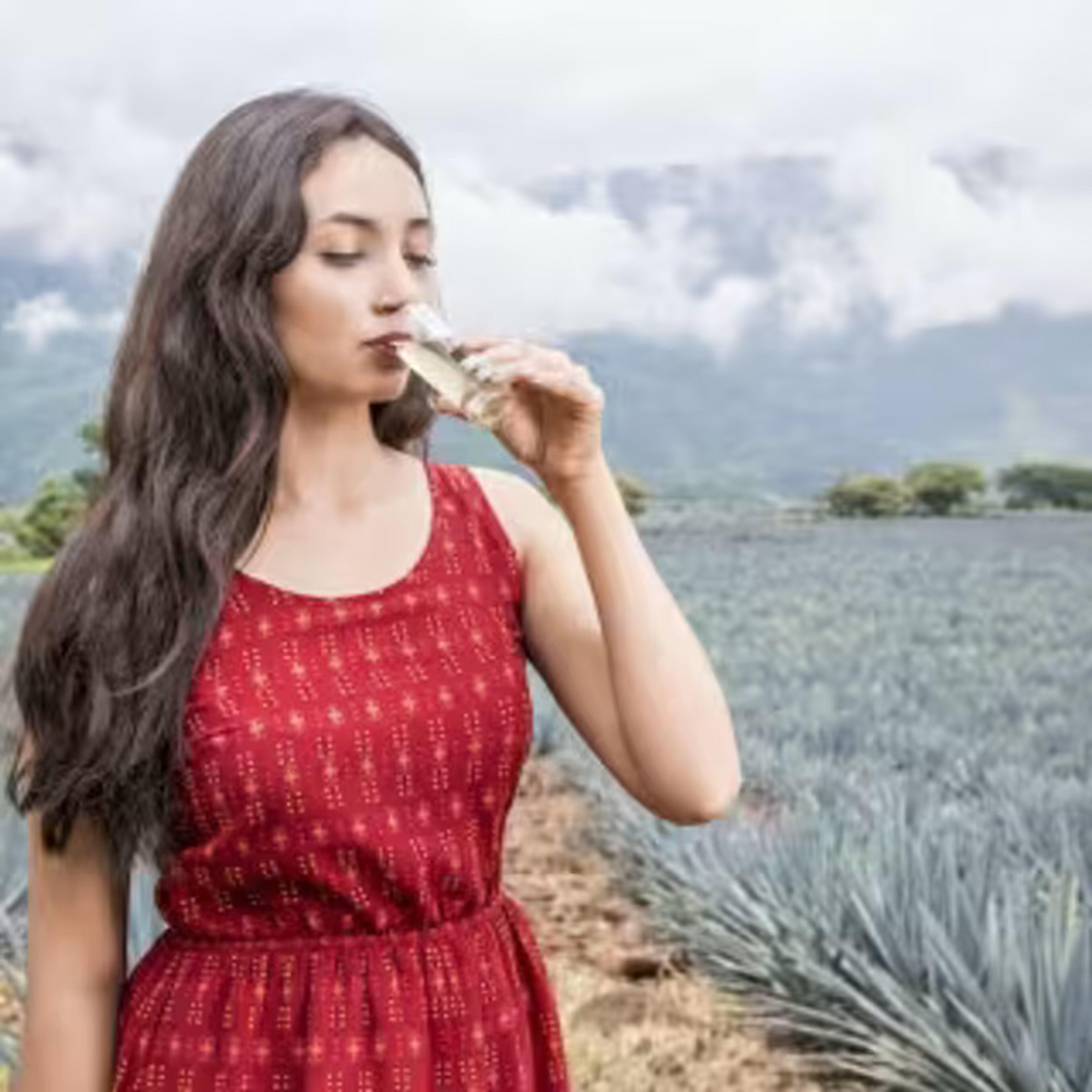Destilería de tequila José Cuervo: Tour desde Guadalajara