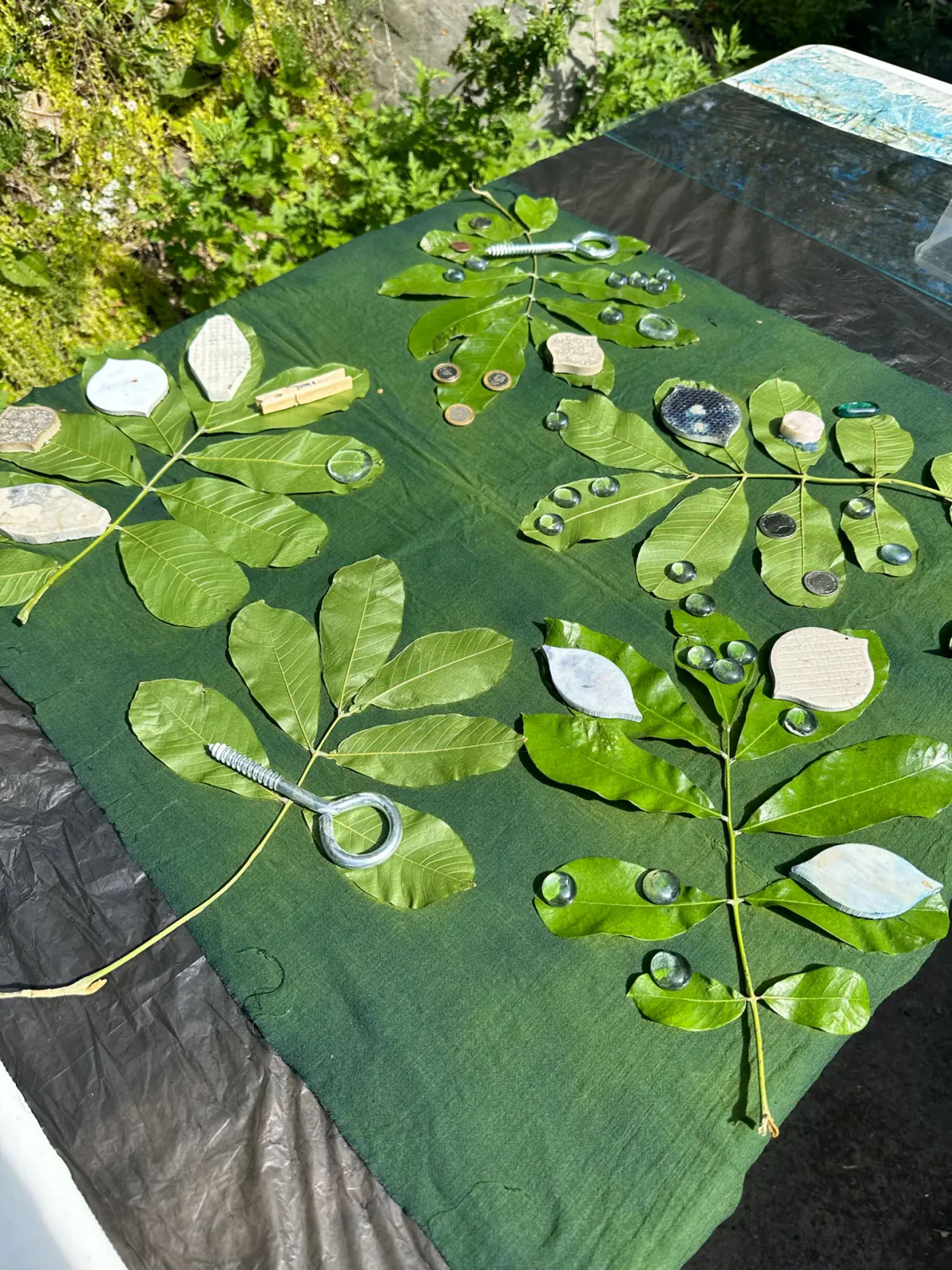 Botanical Printing and Natural Dyeing in Mexico City