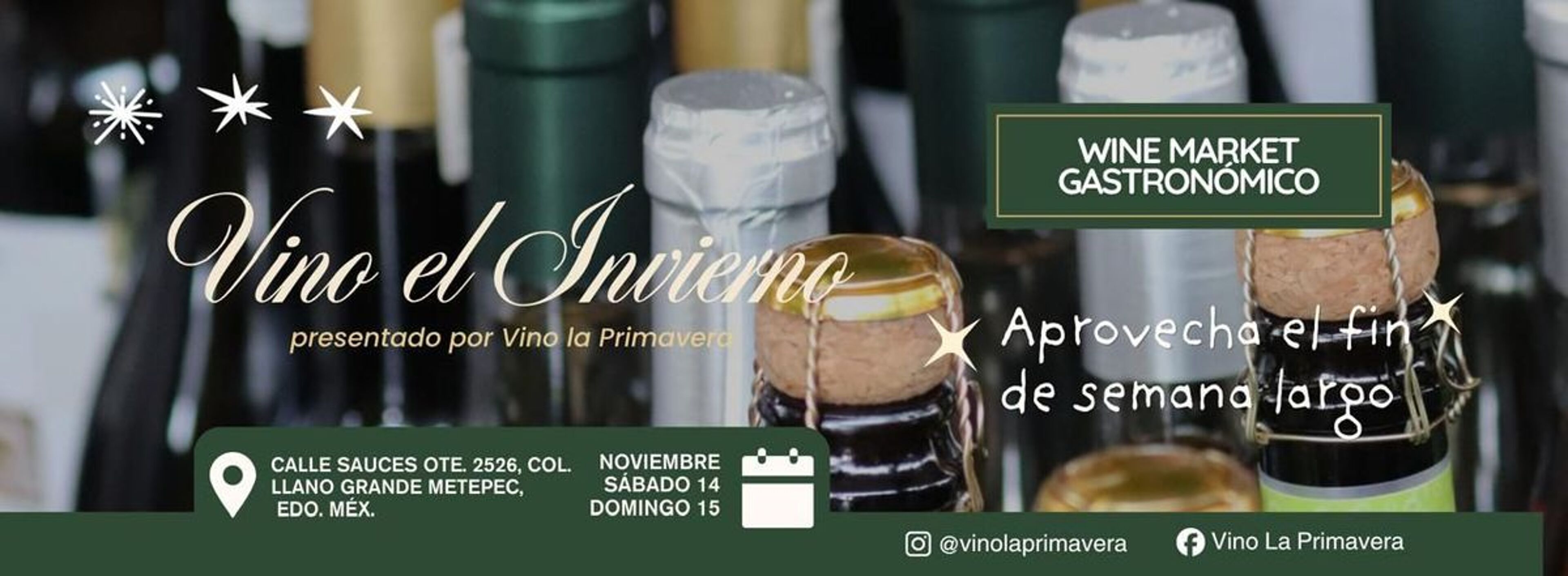 VINO EL INVIERNO