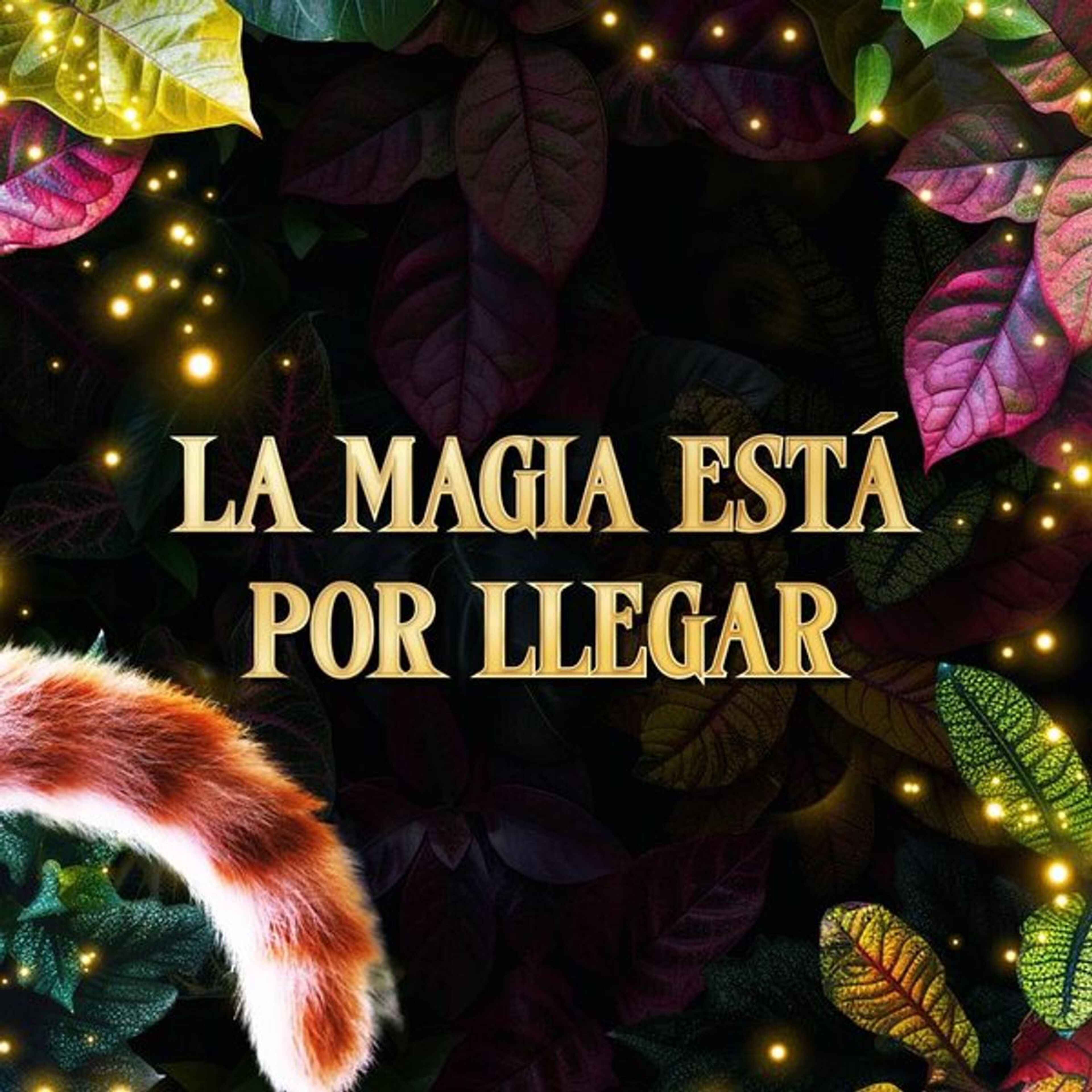 Foto de portada del evento