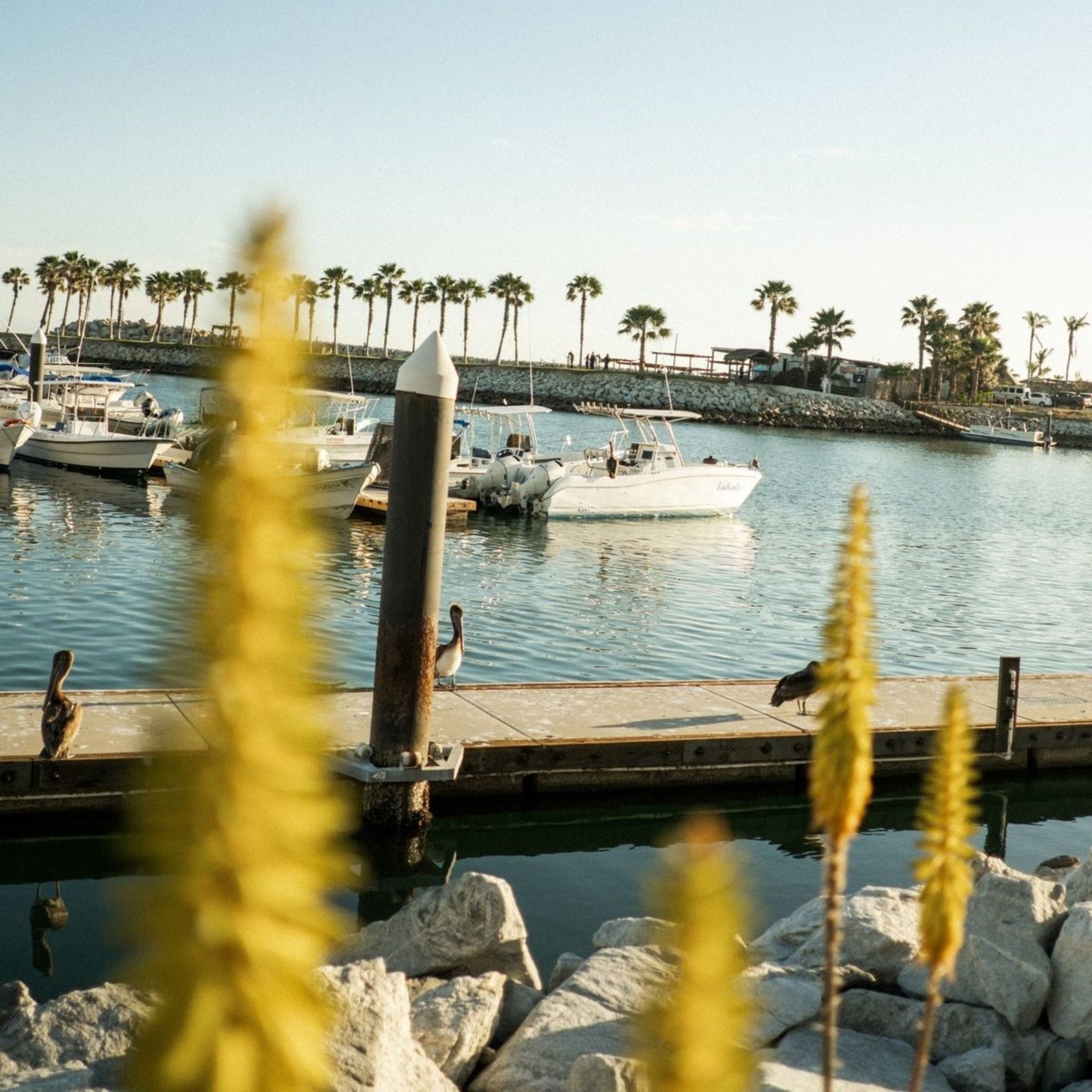 Foto de portada del evento