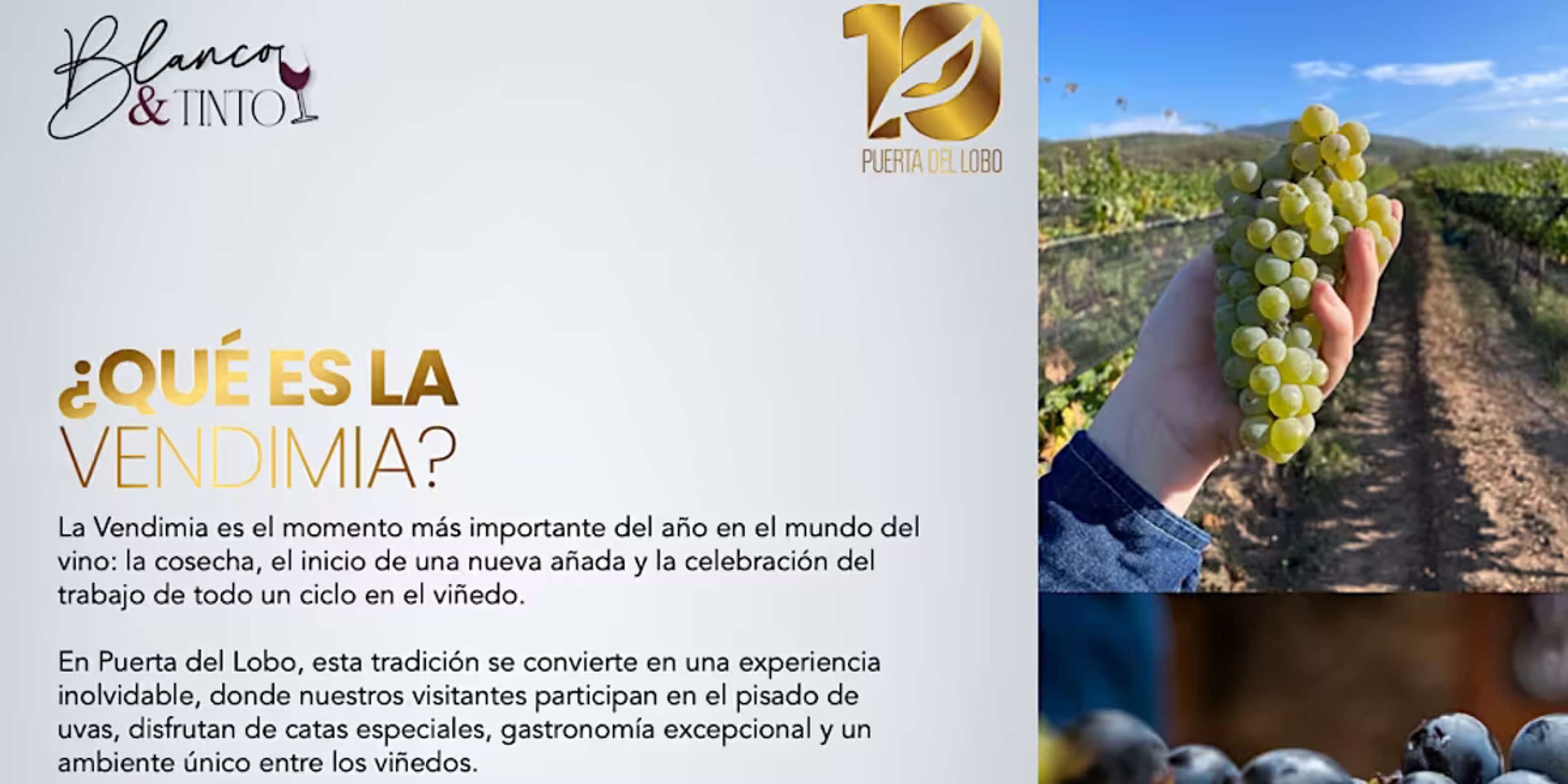 Foto de portada del evento