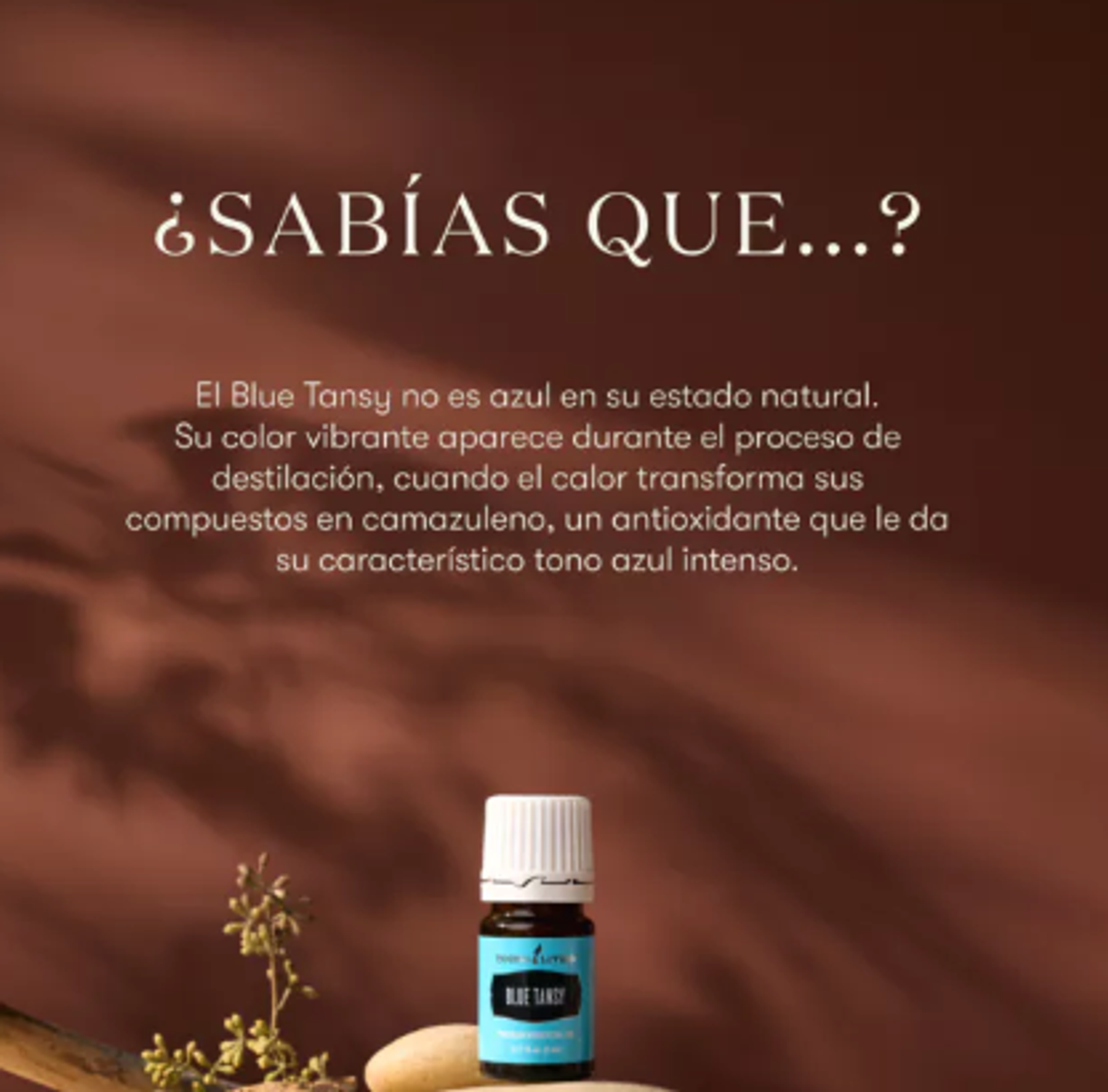 Foto de portada del evento