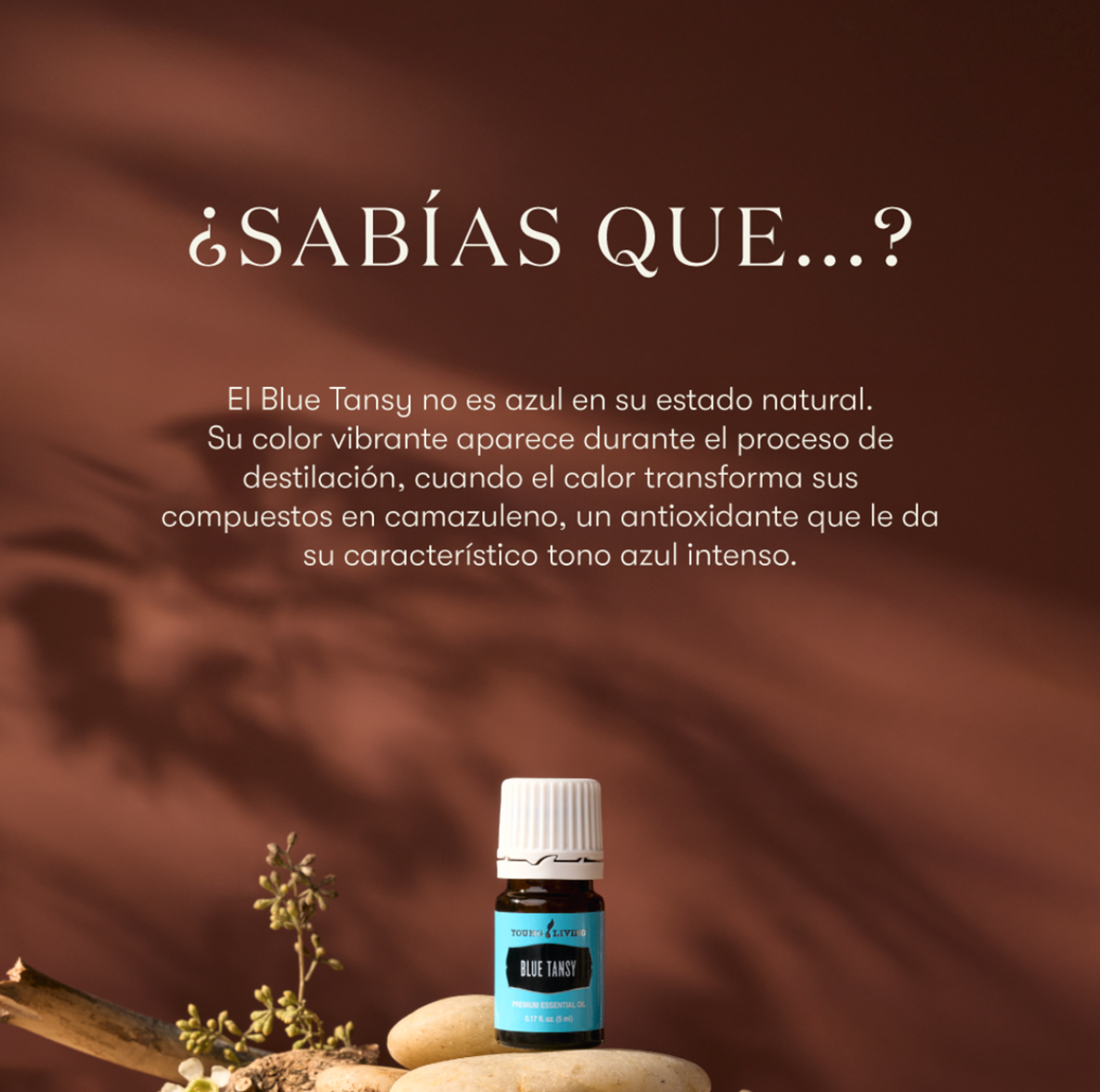 Foto de portada del evento