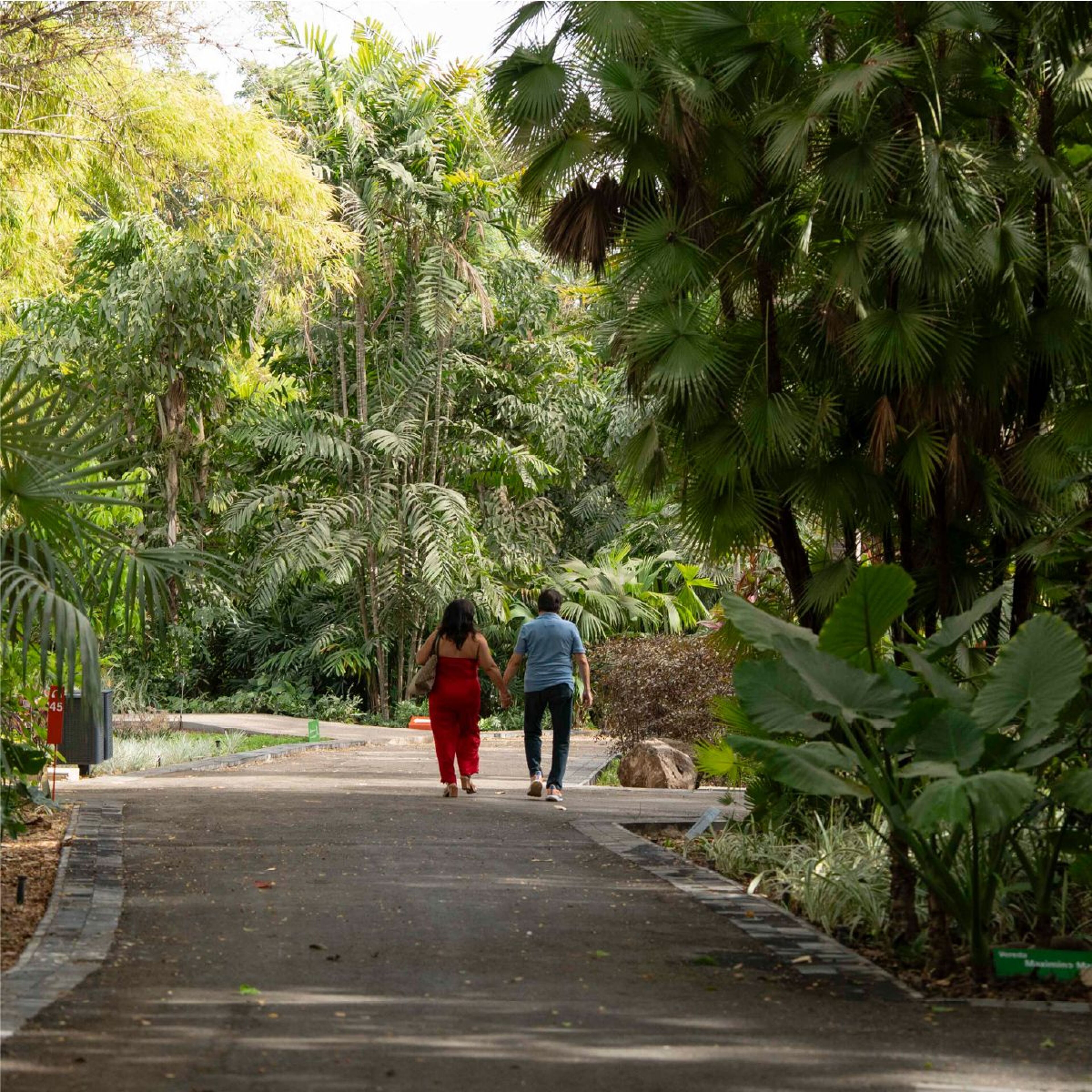 Foto de portada del evento