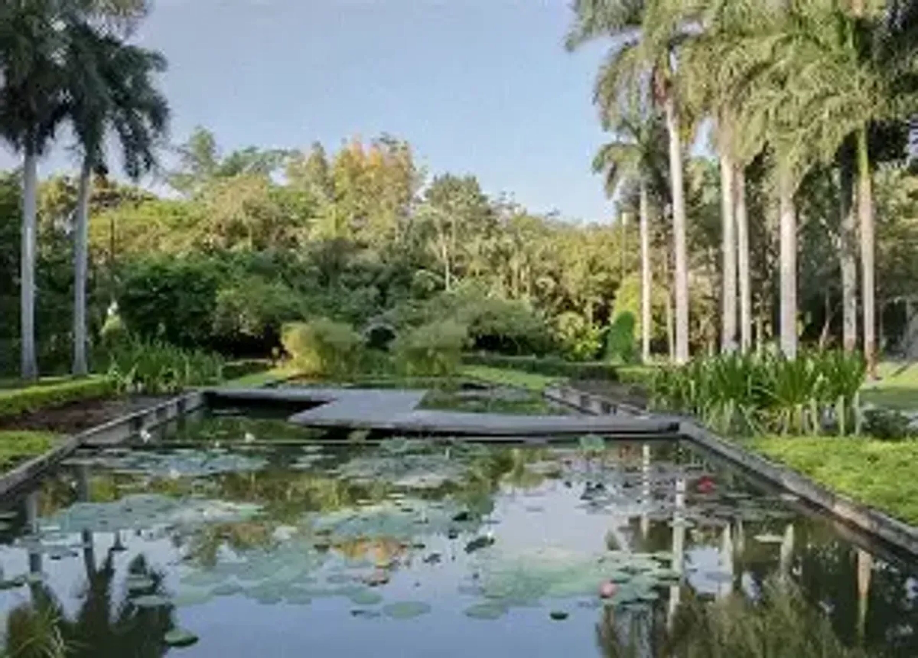 Foto de portada del evento