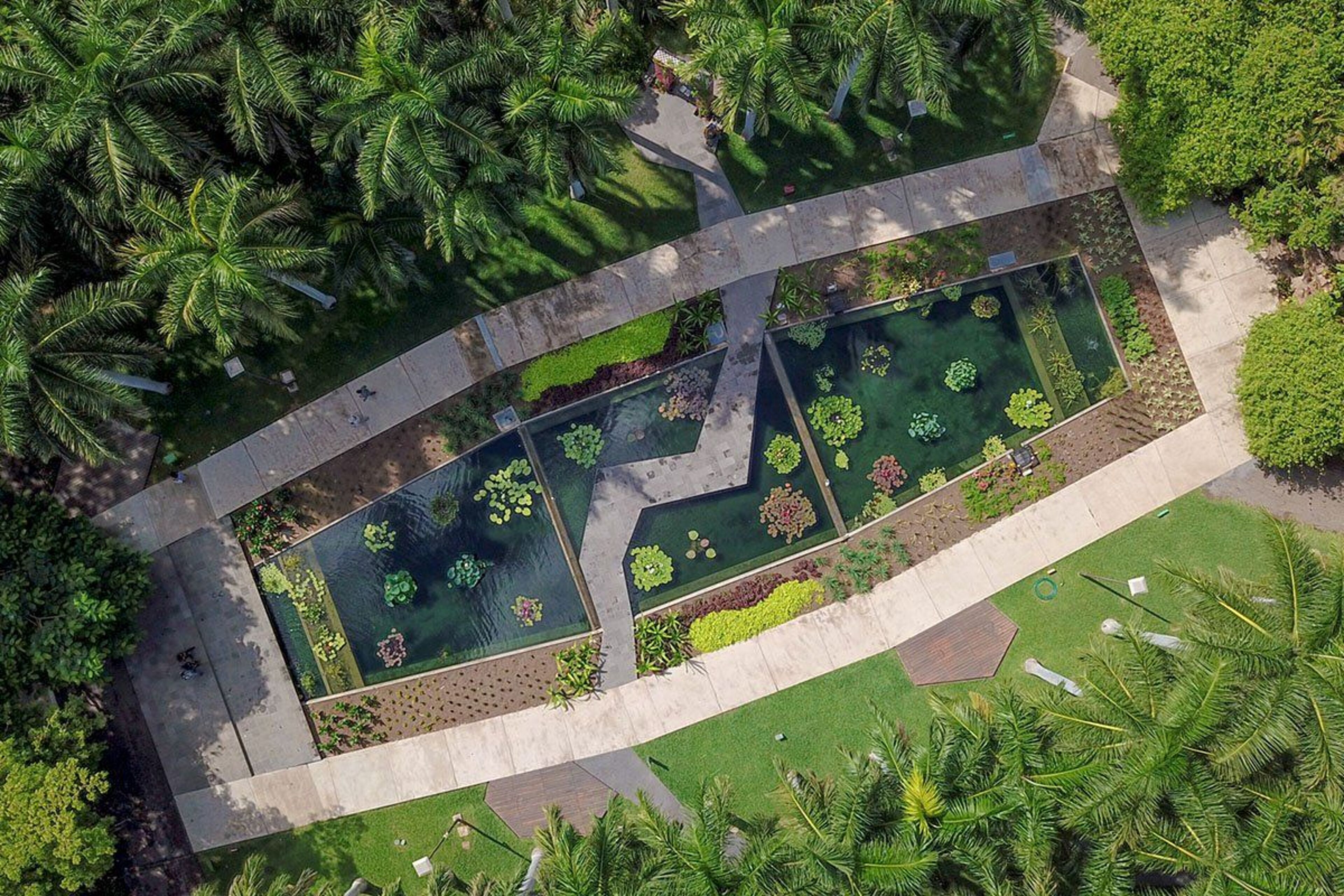 Foto de portada del evento