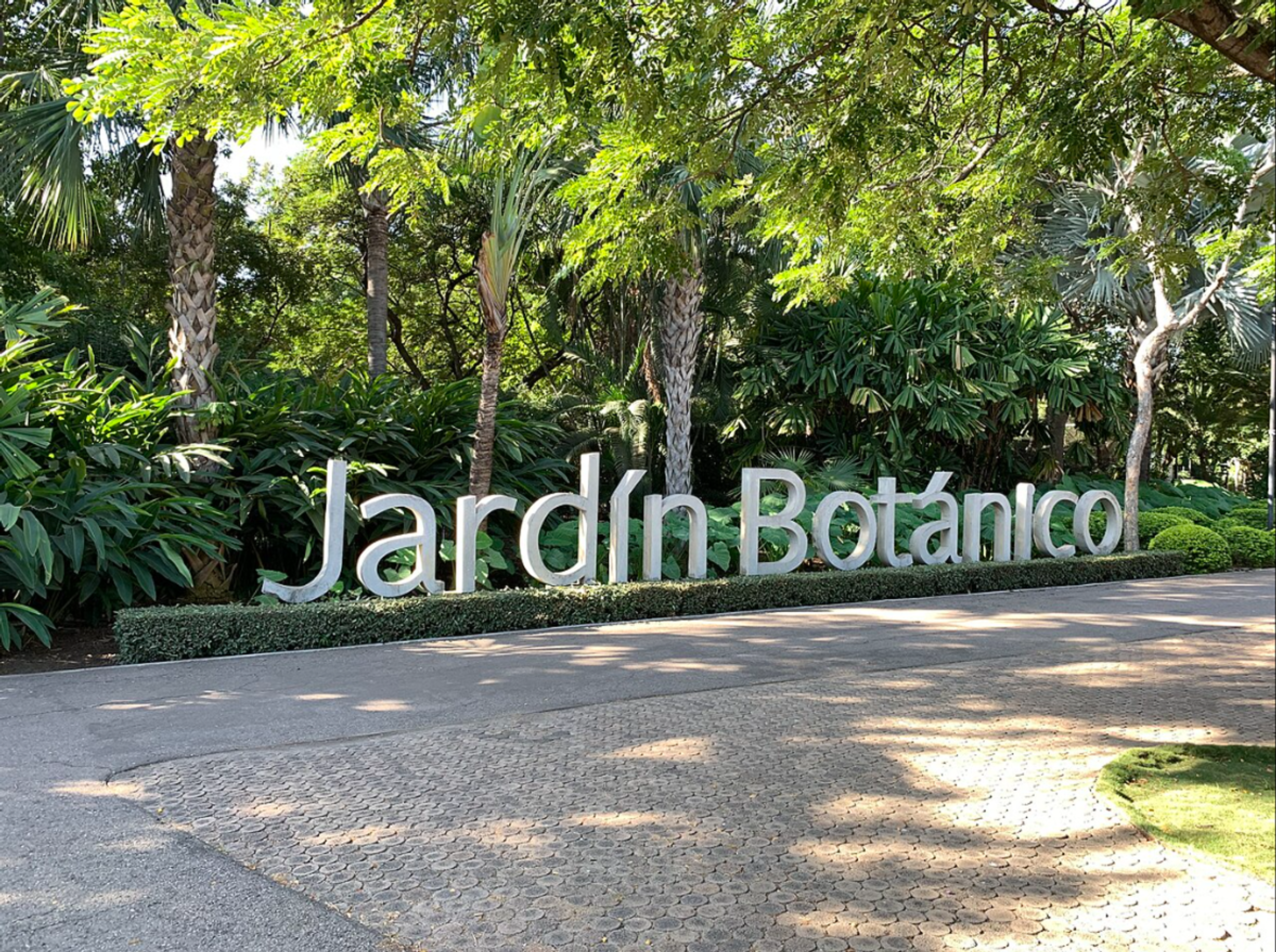 Foto de portada del evento