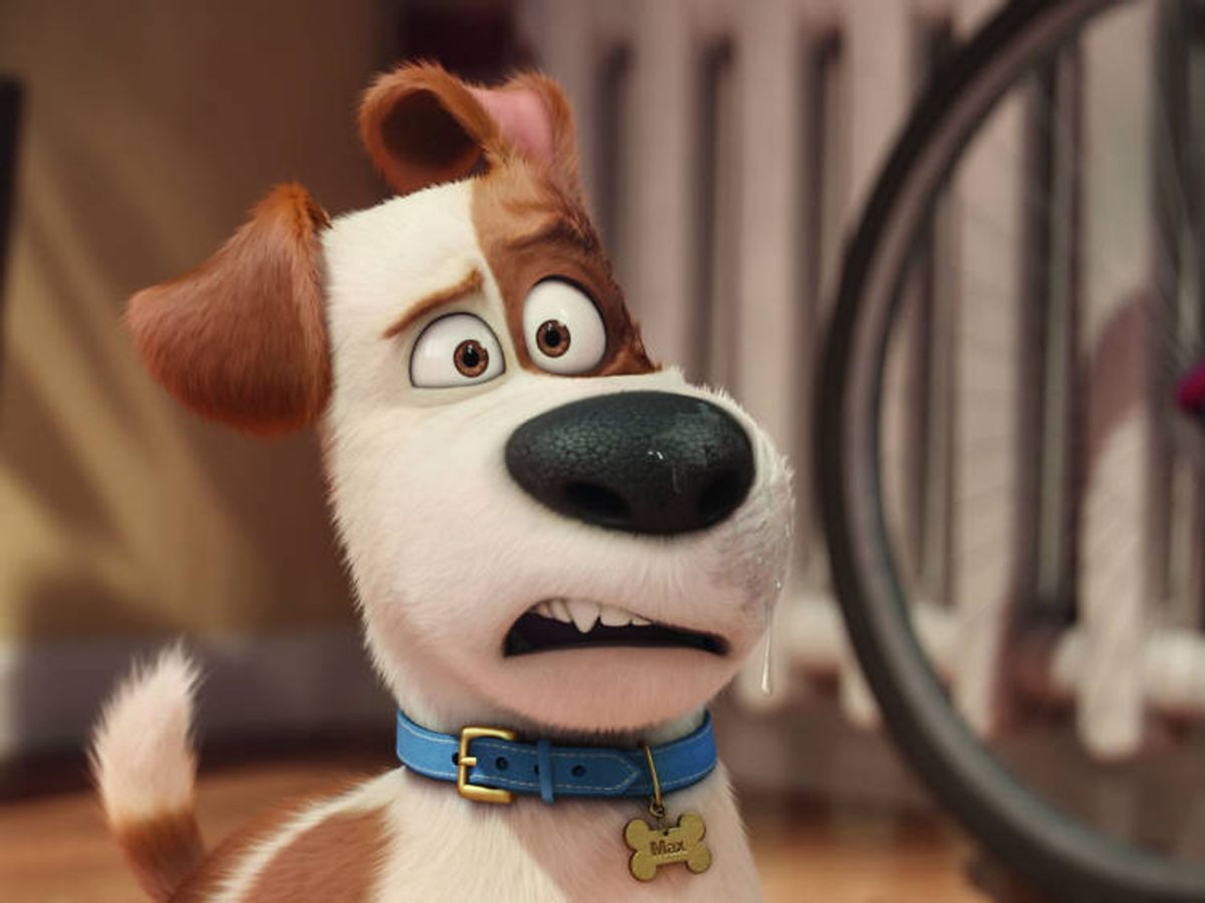 Foto de portada del evento