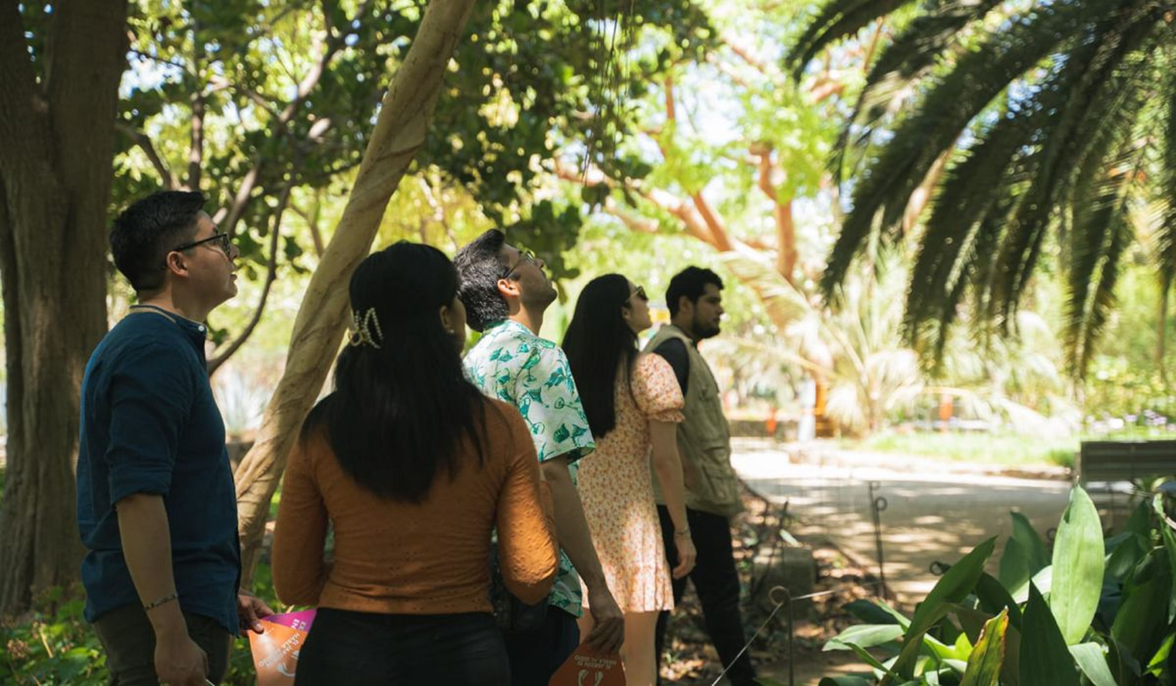 Imagen de portada de Un martes en Jardín Botánico Culiacán