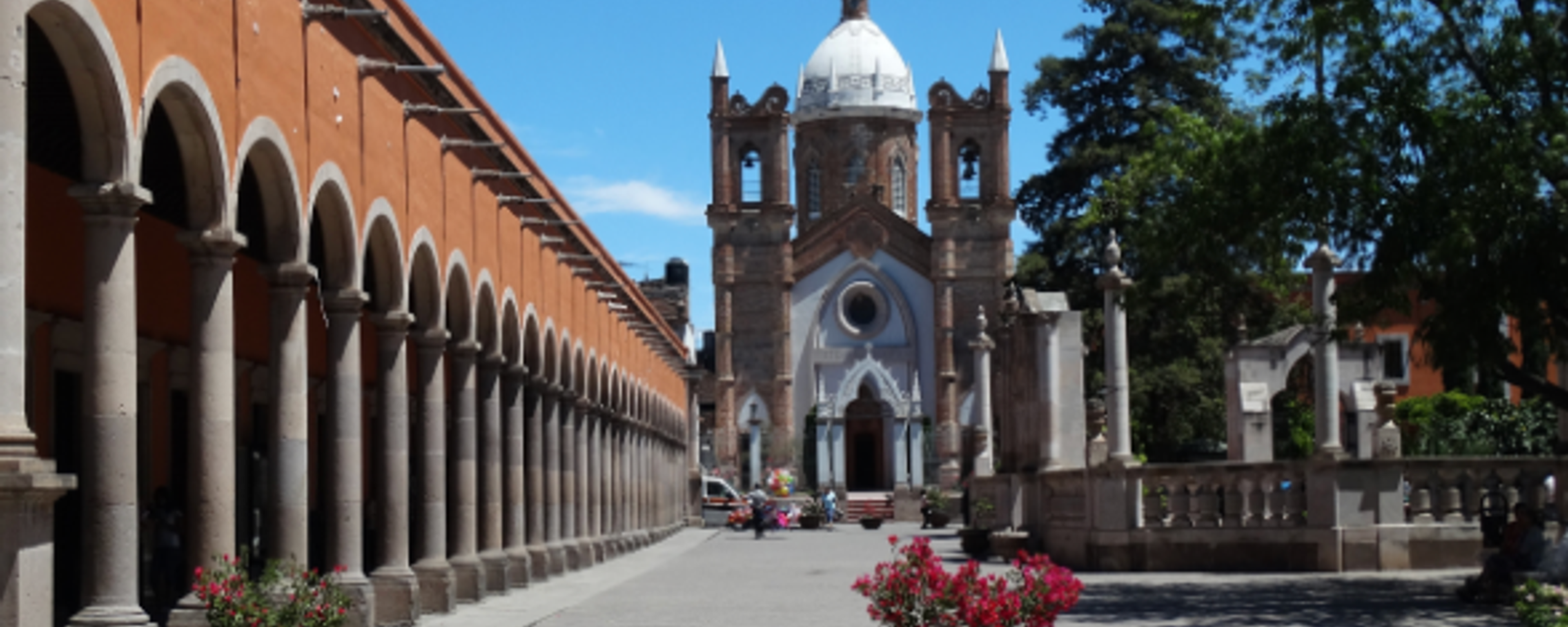 Banner del estado