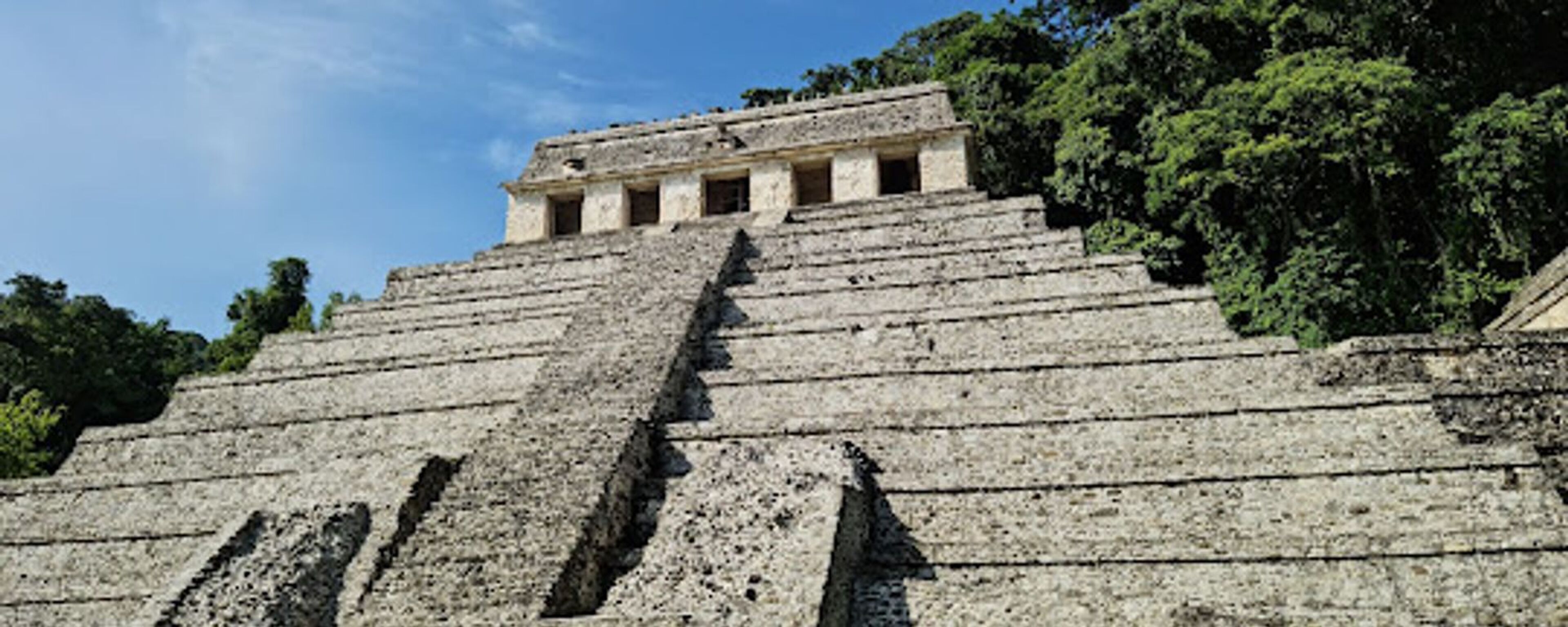 Banner del estado